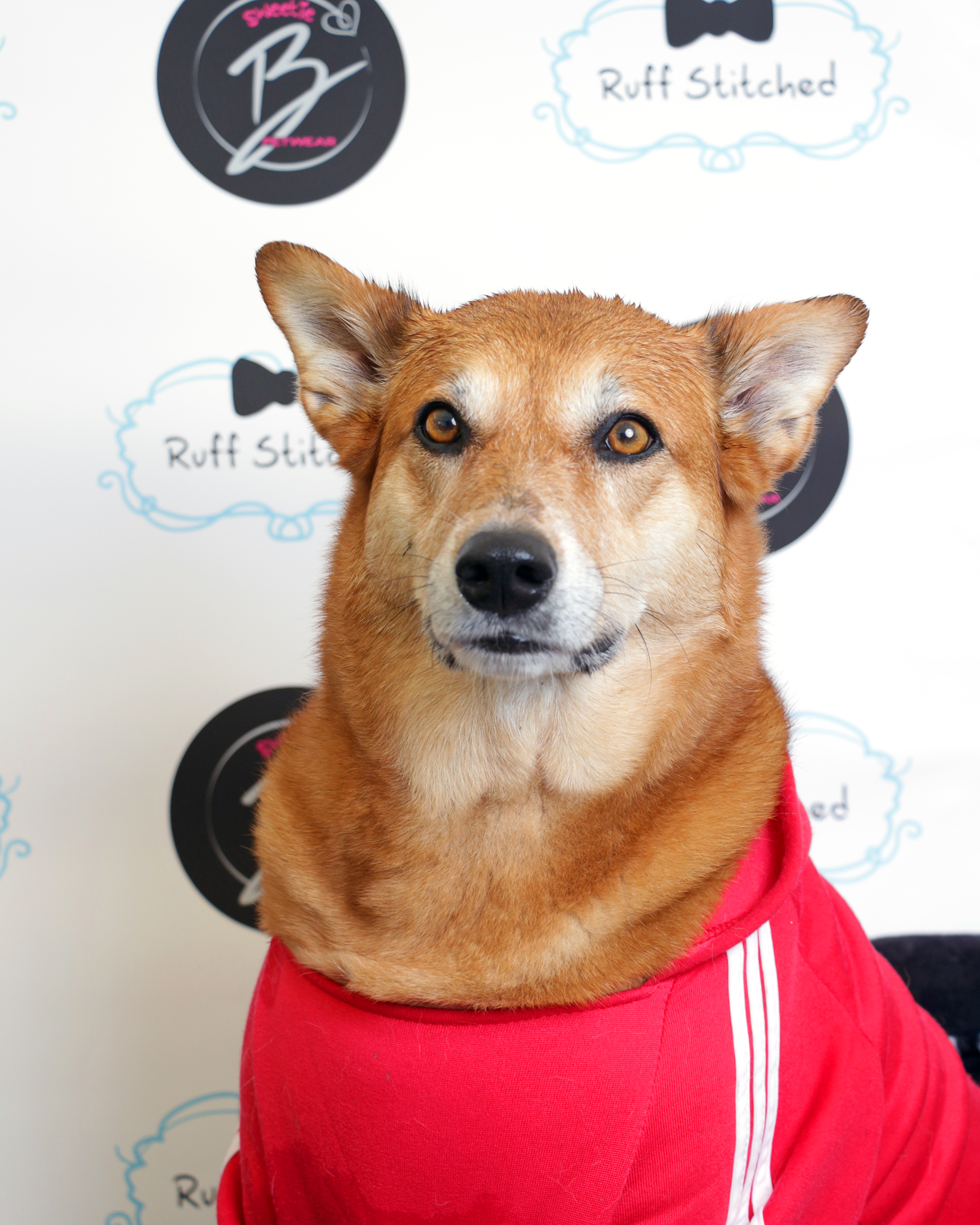 2019-05-25 12.04.14.jpg