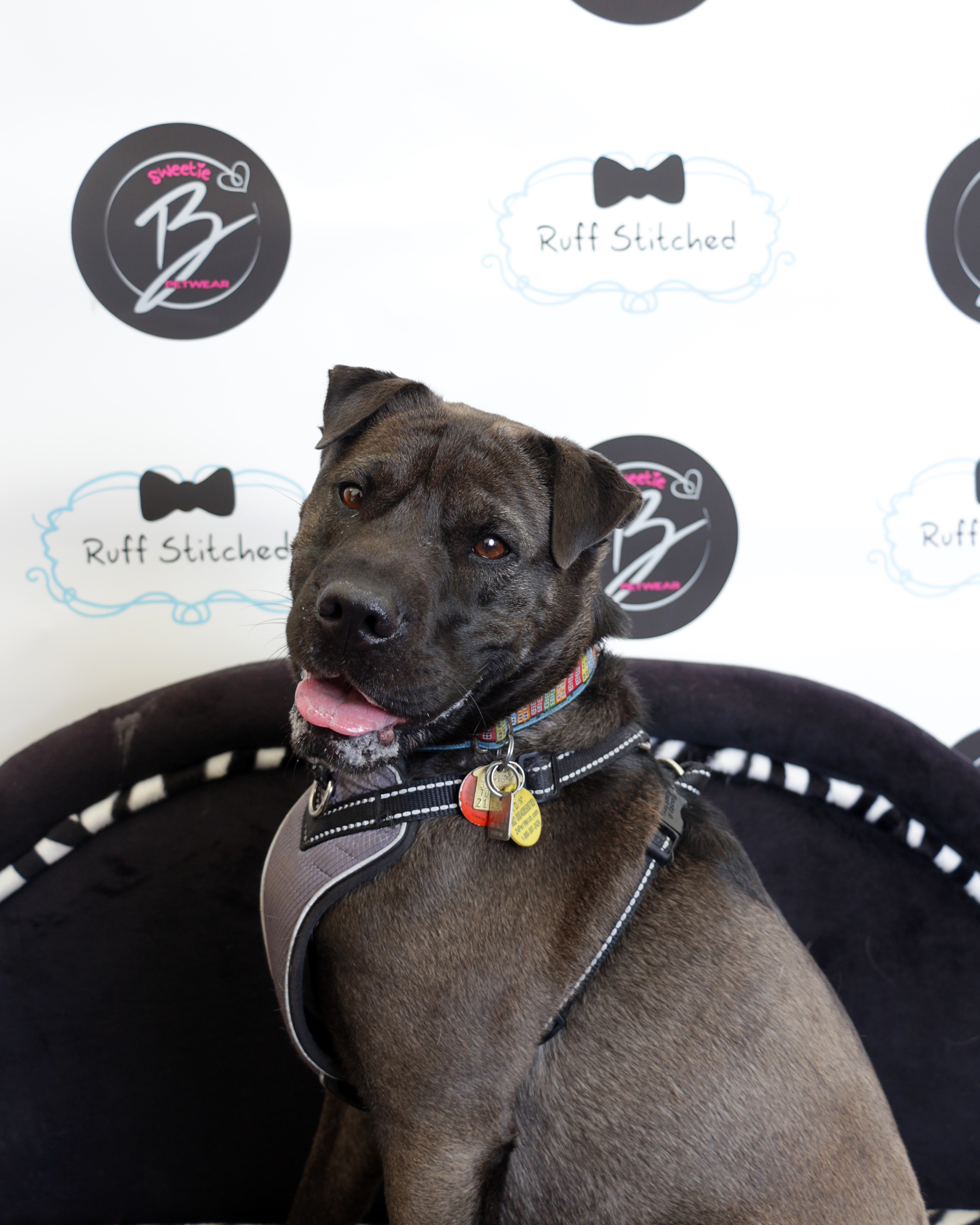 2019-05-25 14.14.33-2.jpg