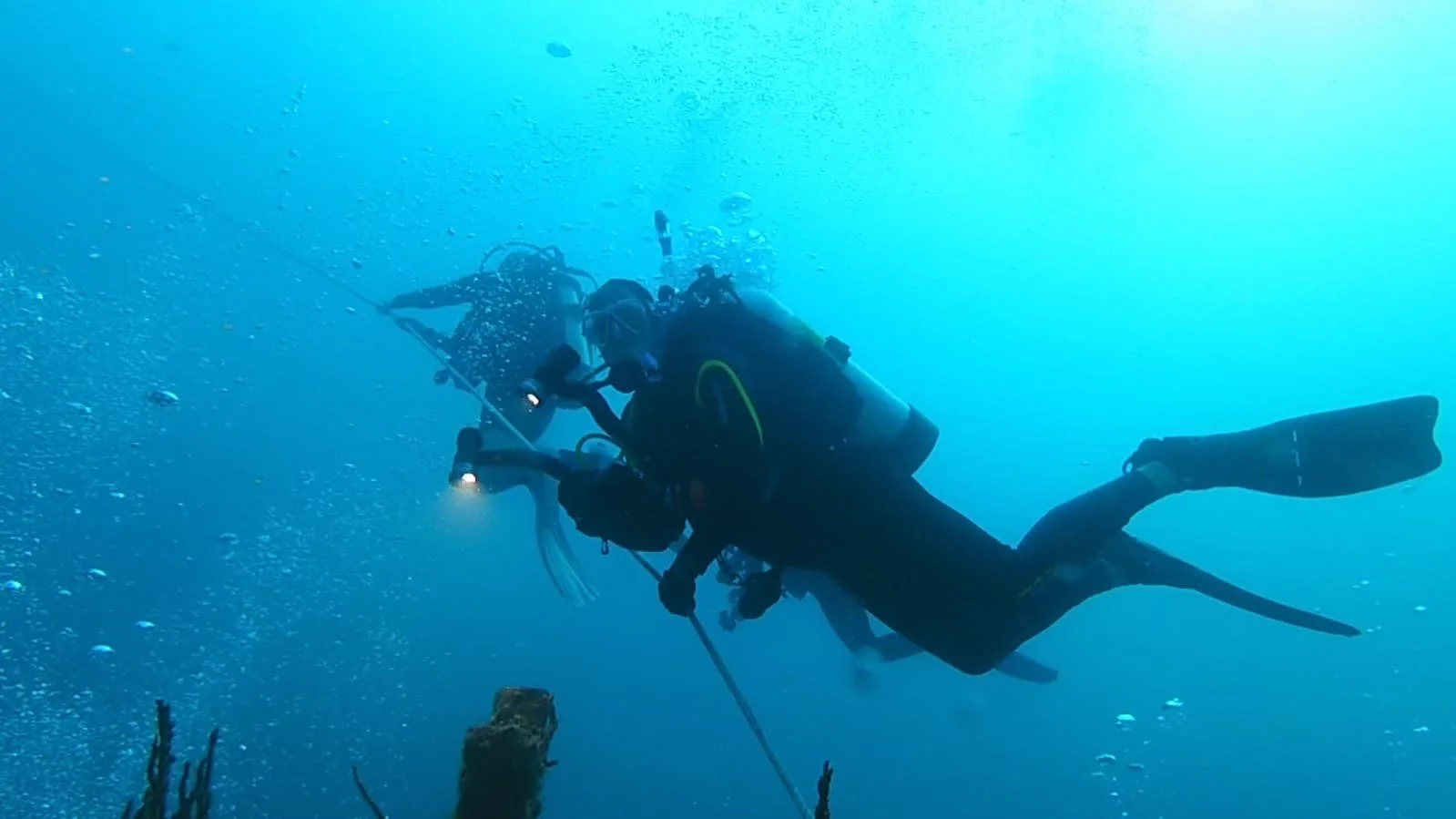 Tenneco Towers is an artificial reef created by five oil platforms. 
