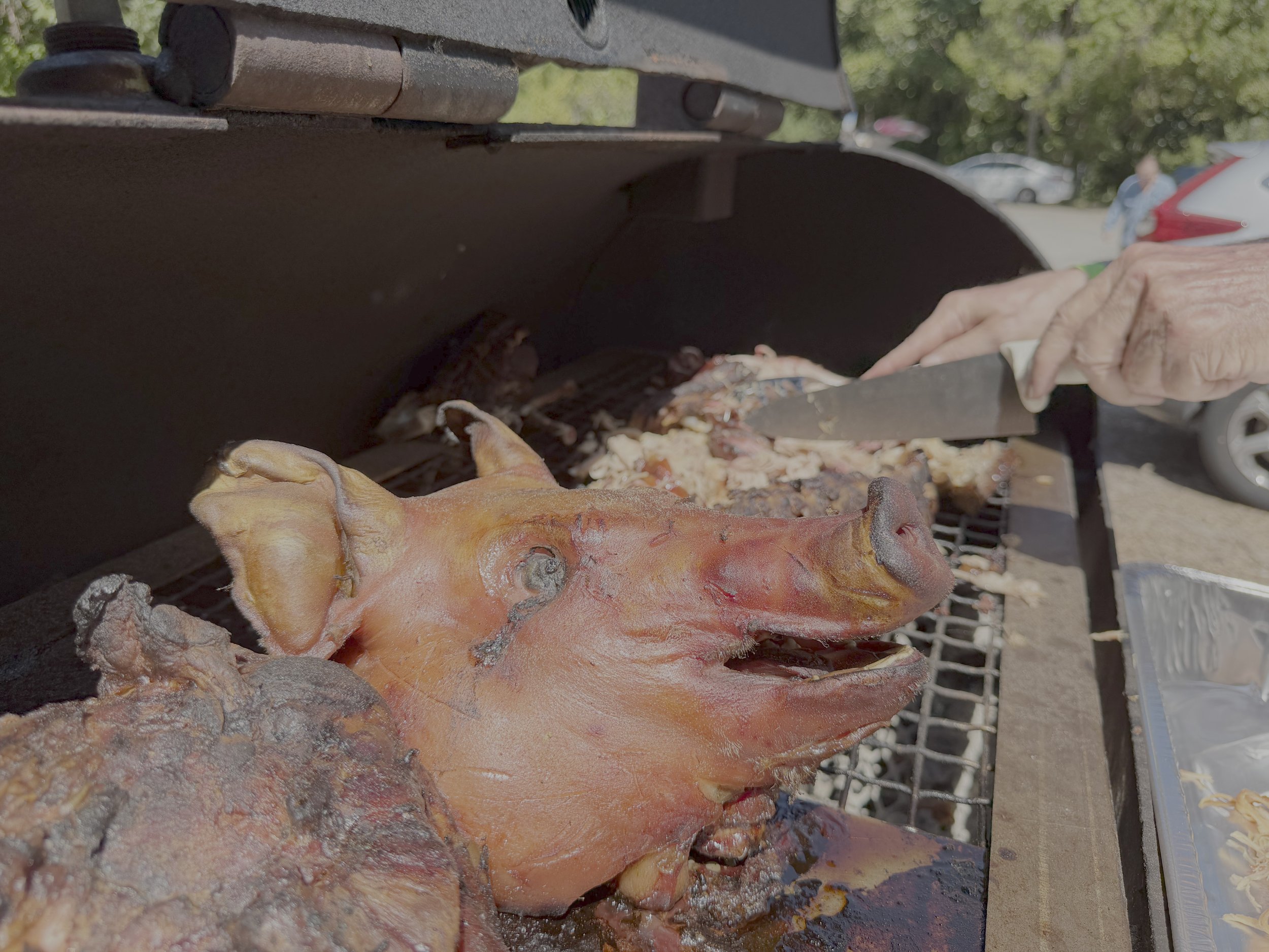 Pig Rost - 2026