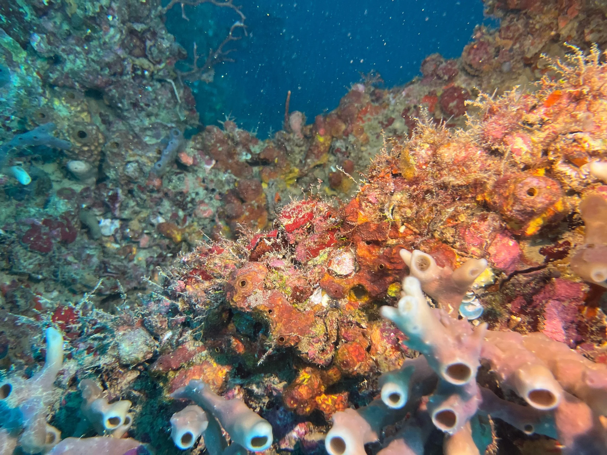 Tenneco Tower - Jan 18th