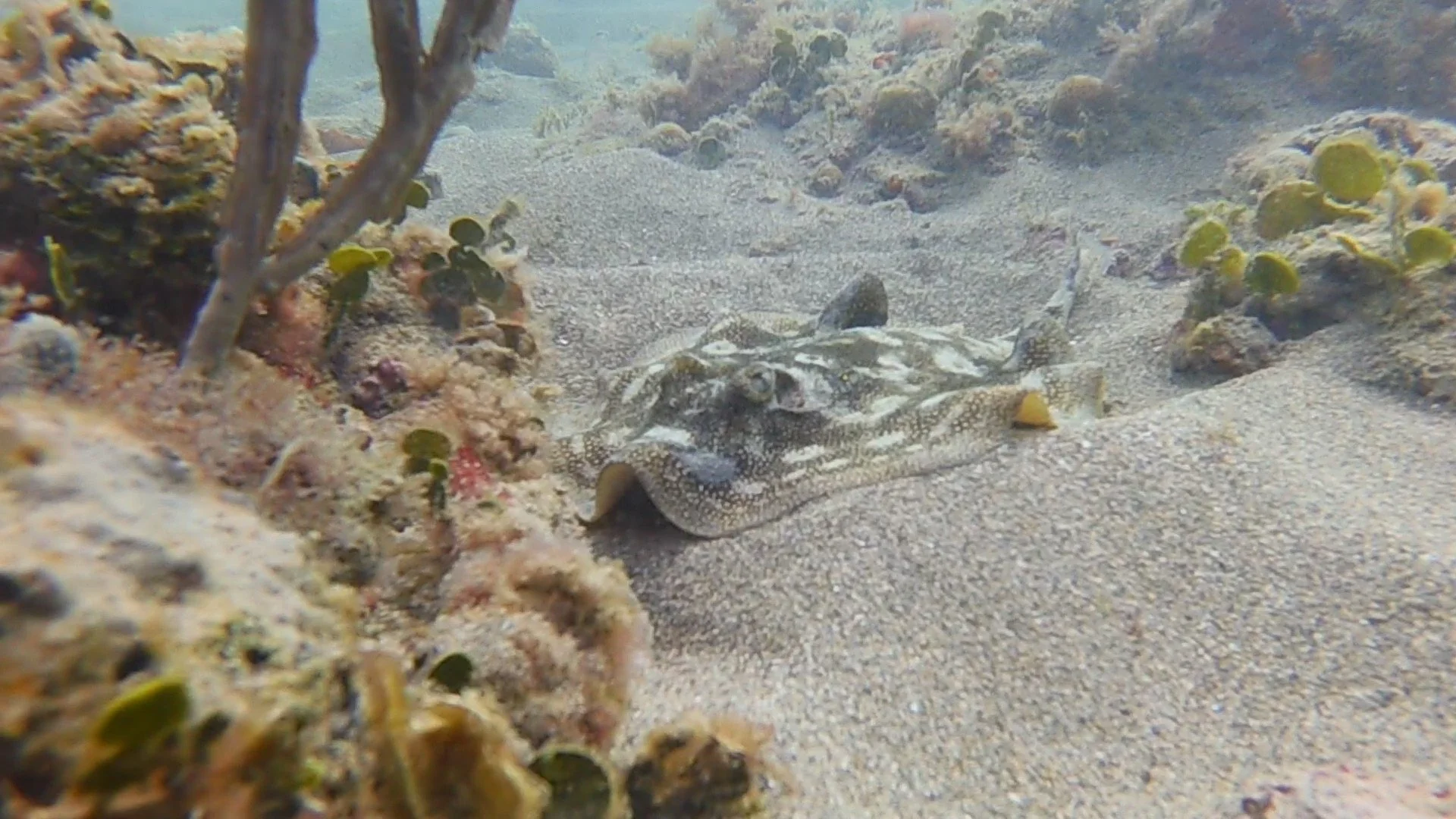 And it was still worth...  by Jeb Zella