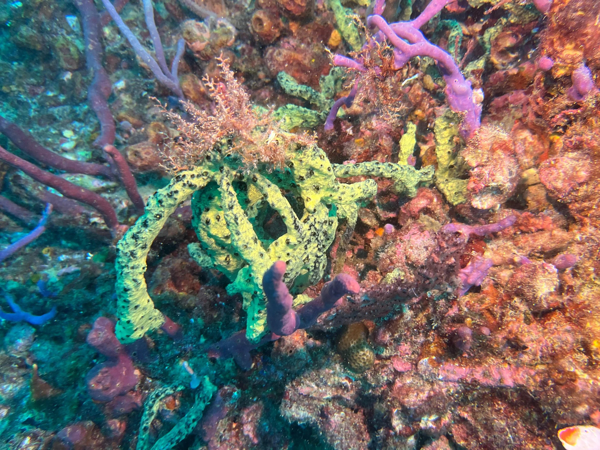 Tenneco Tower - Jan 18th