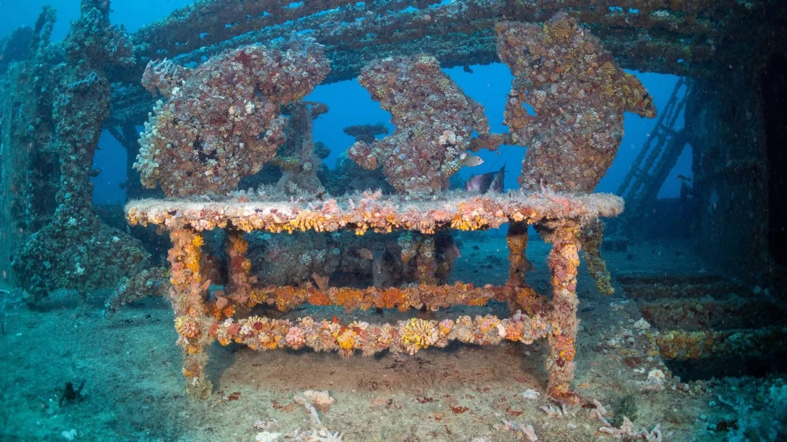 Lady Luck Wreck 