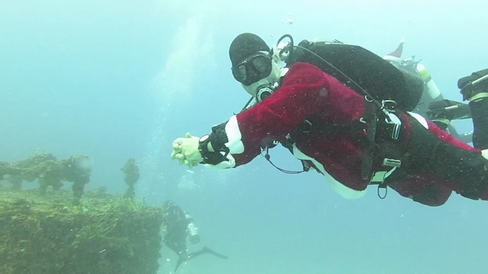 Santa Claus didn't forget the fishes.