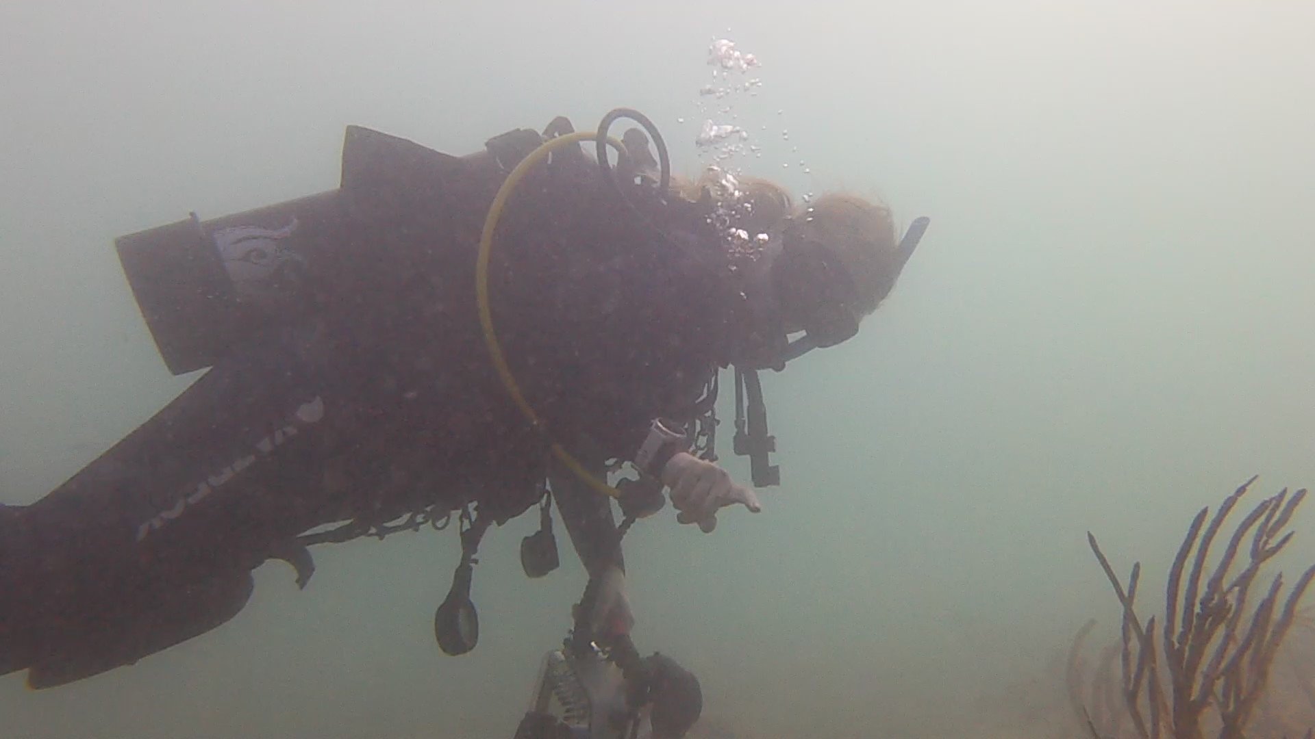 viz about 5 to 10ft, no problem, we are under water....