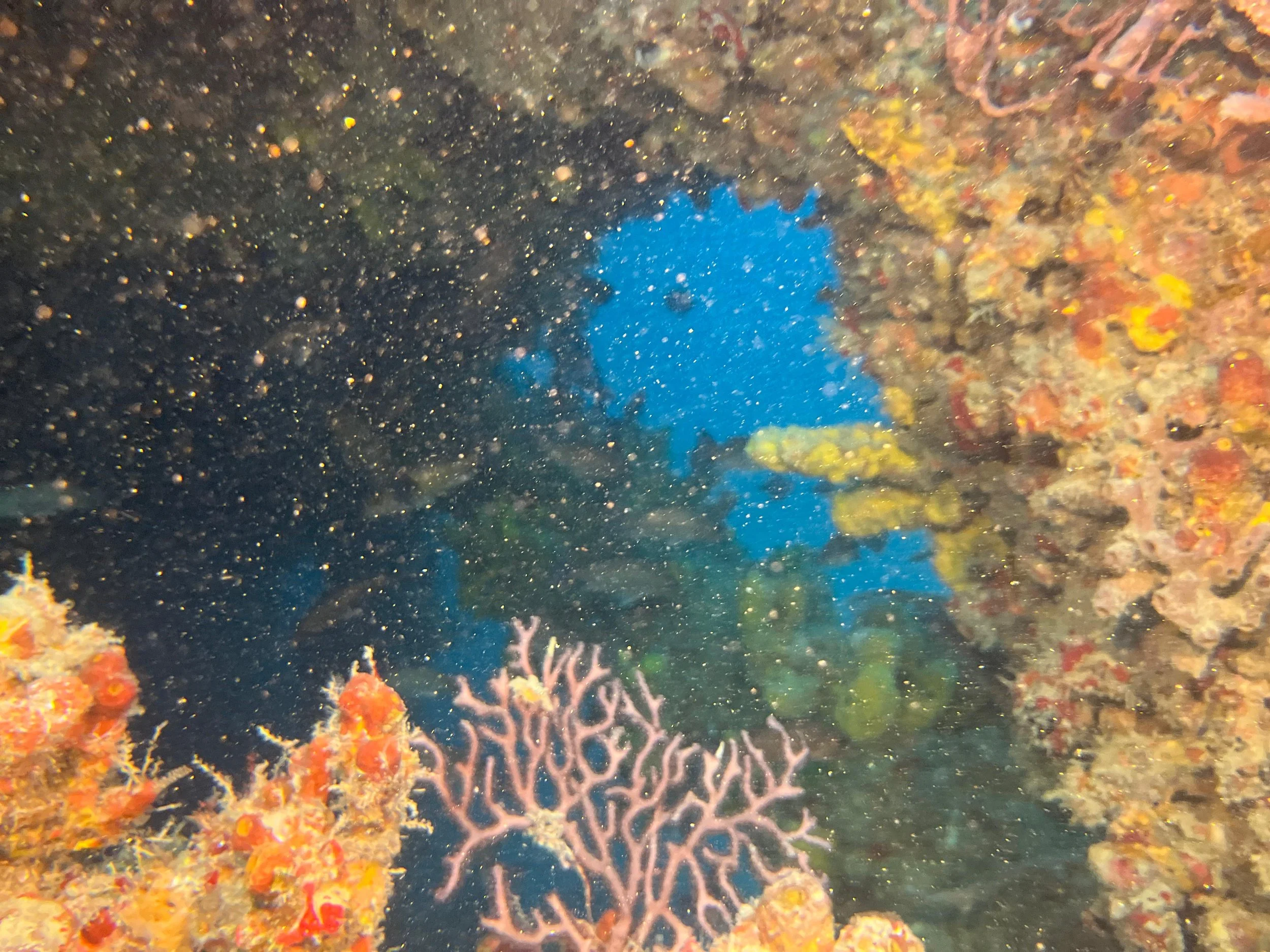 Tenneco Tower - Jan 18th