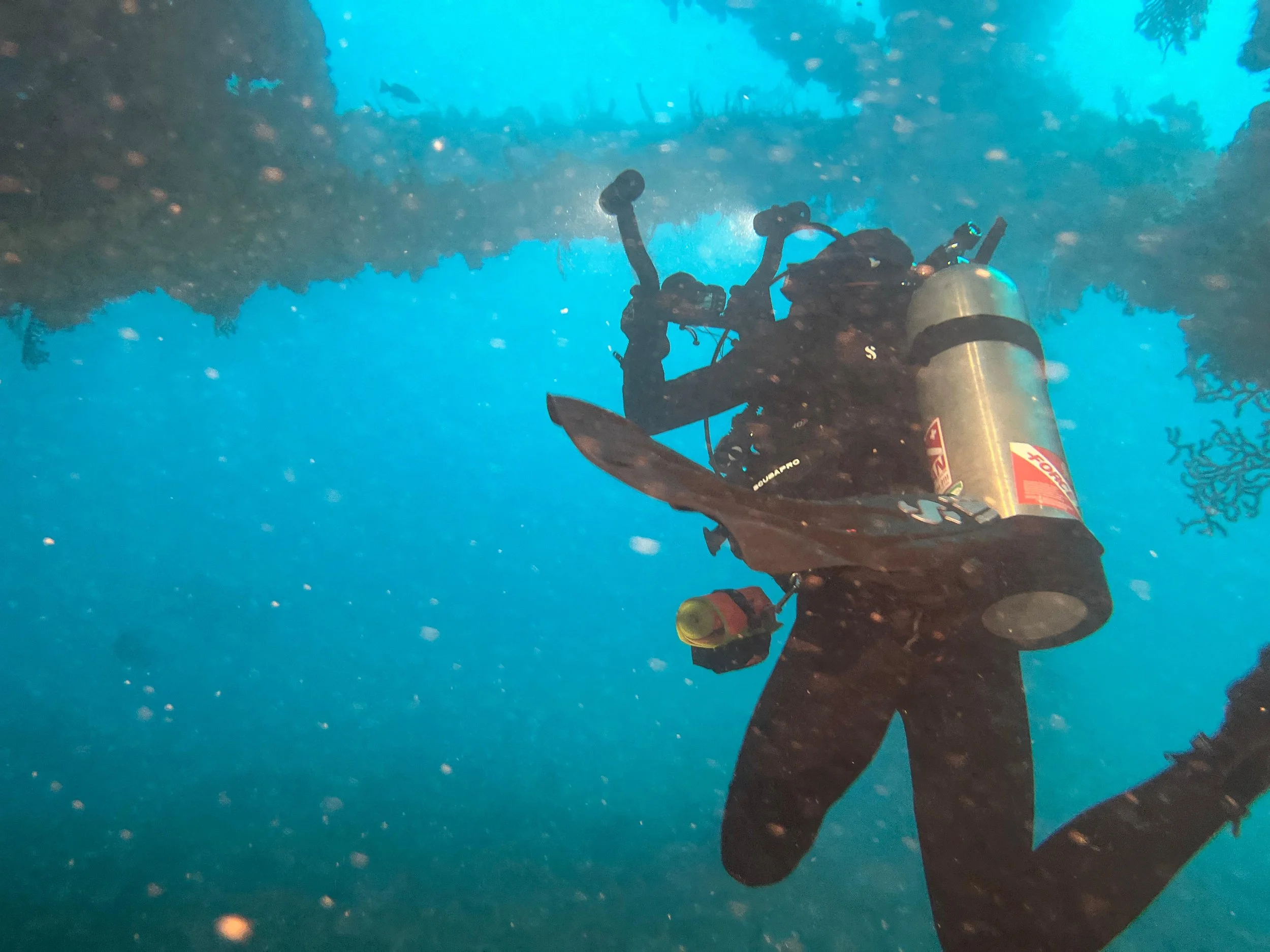 Photos at Tenneco Tower