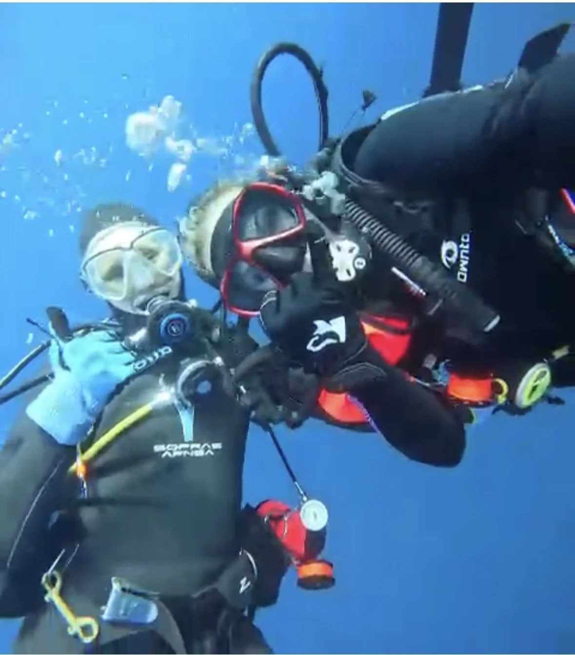 Our dive girls charming the sharks.