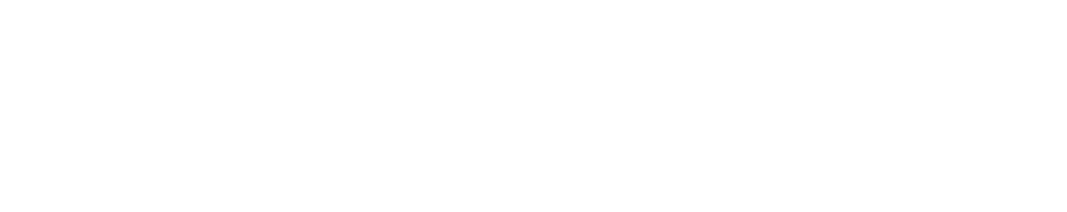natchez_democrat-logo.png
