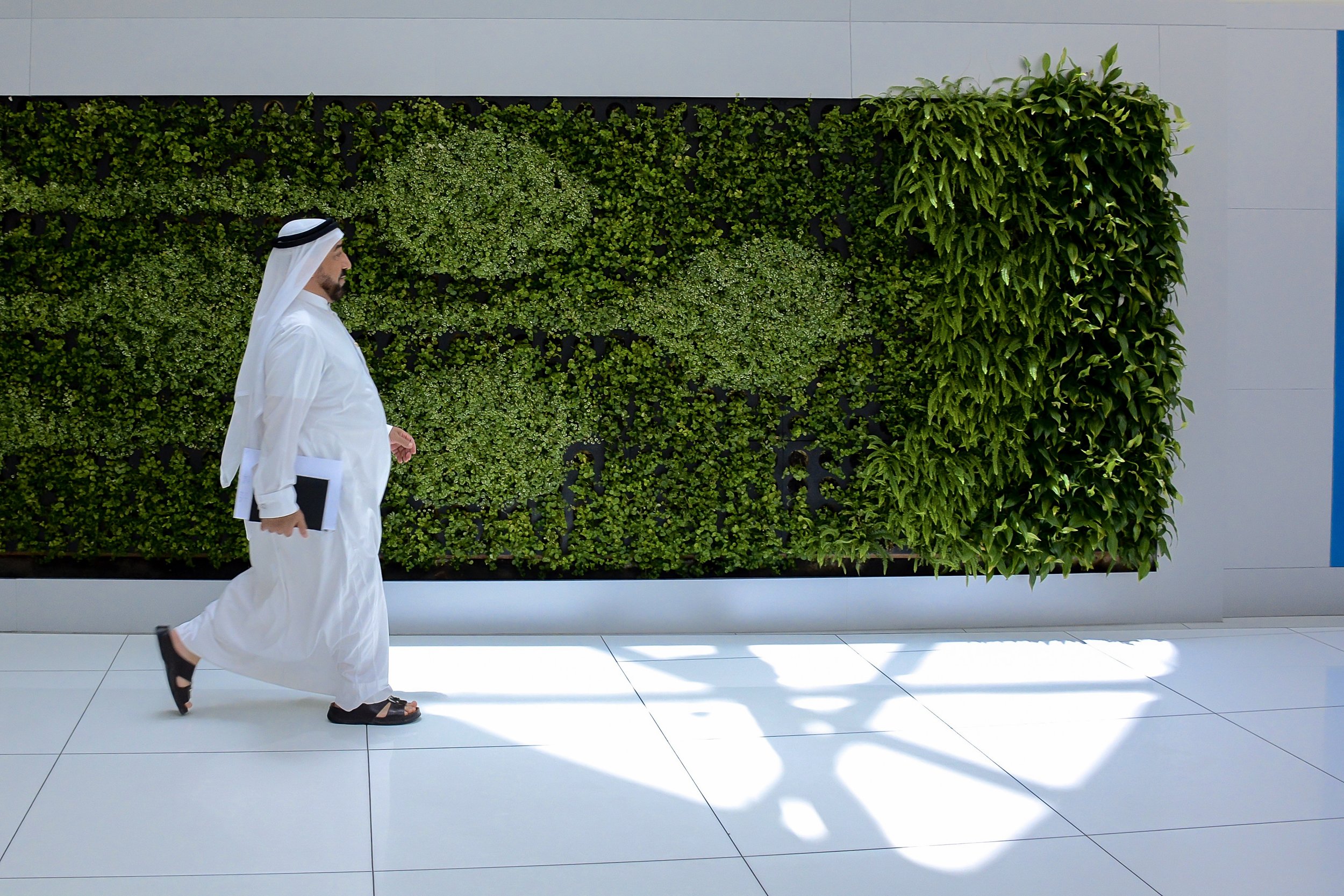 Arab in Silicon Oasis web ready.jpg