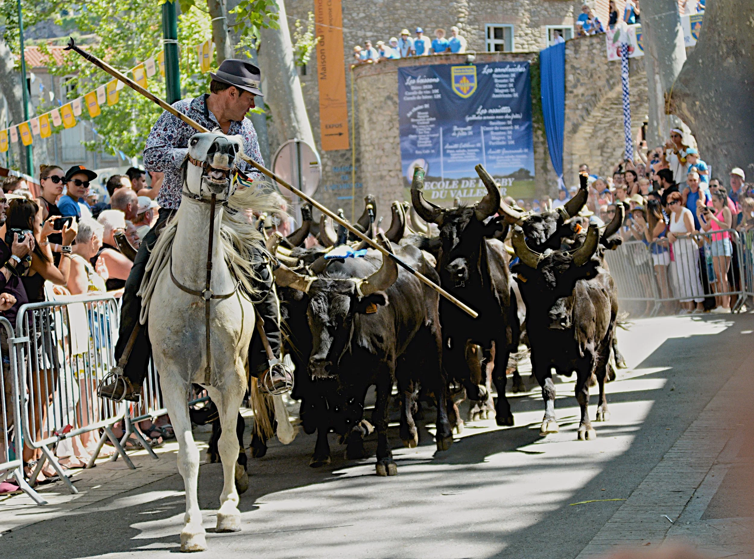  Bull run, La Féria, Céret France 
