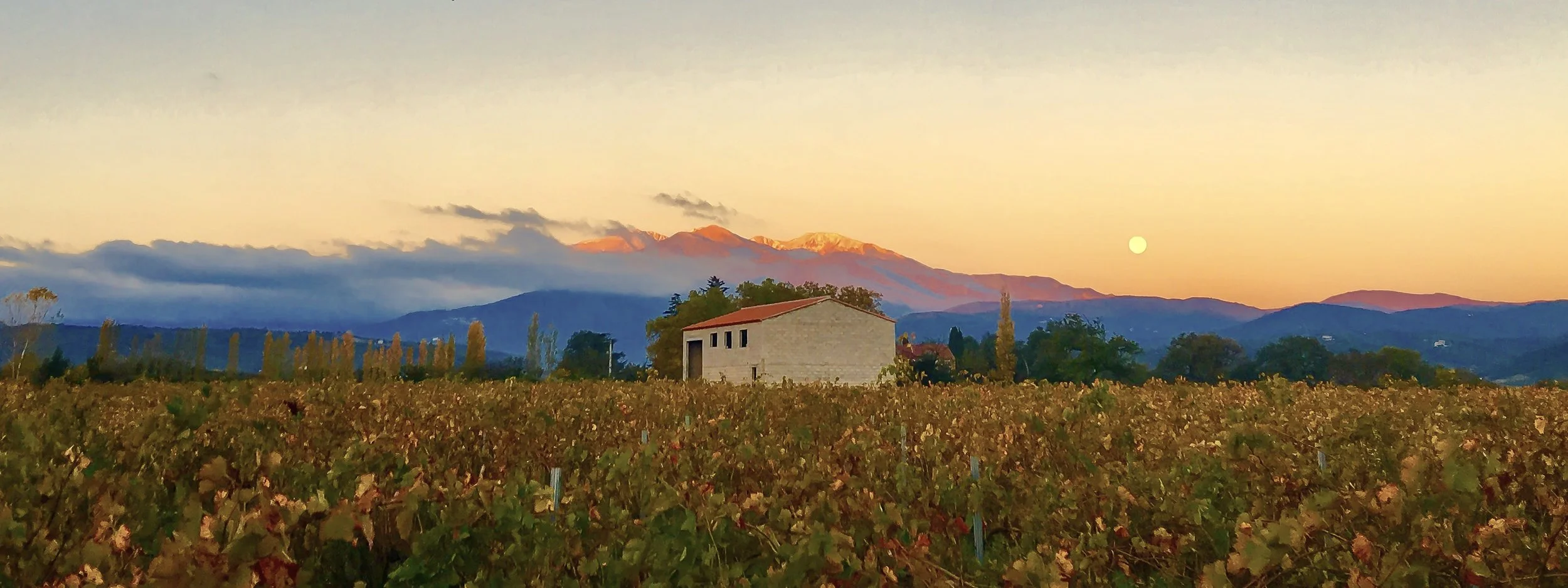 Le Canigou, Céret France