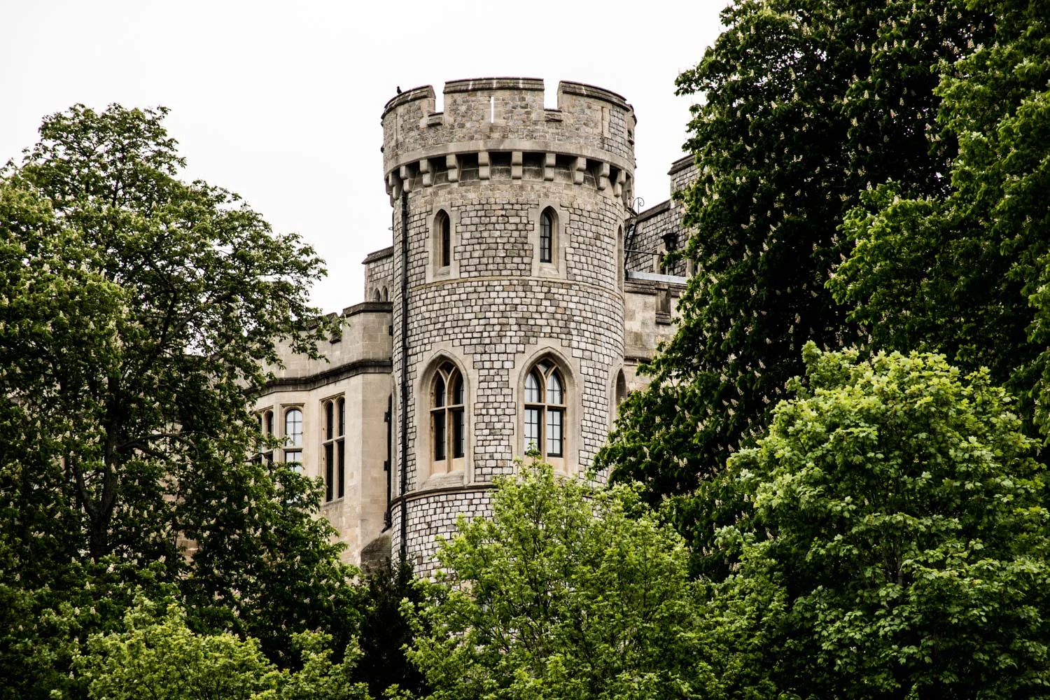 windsor castle turret.jpg