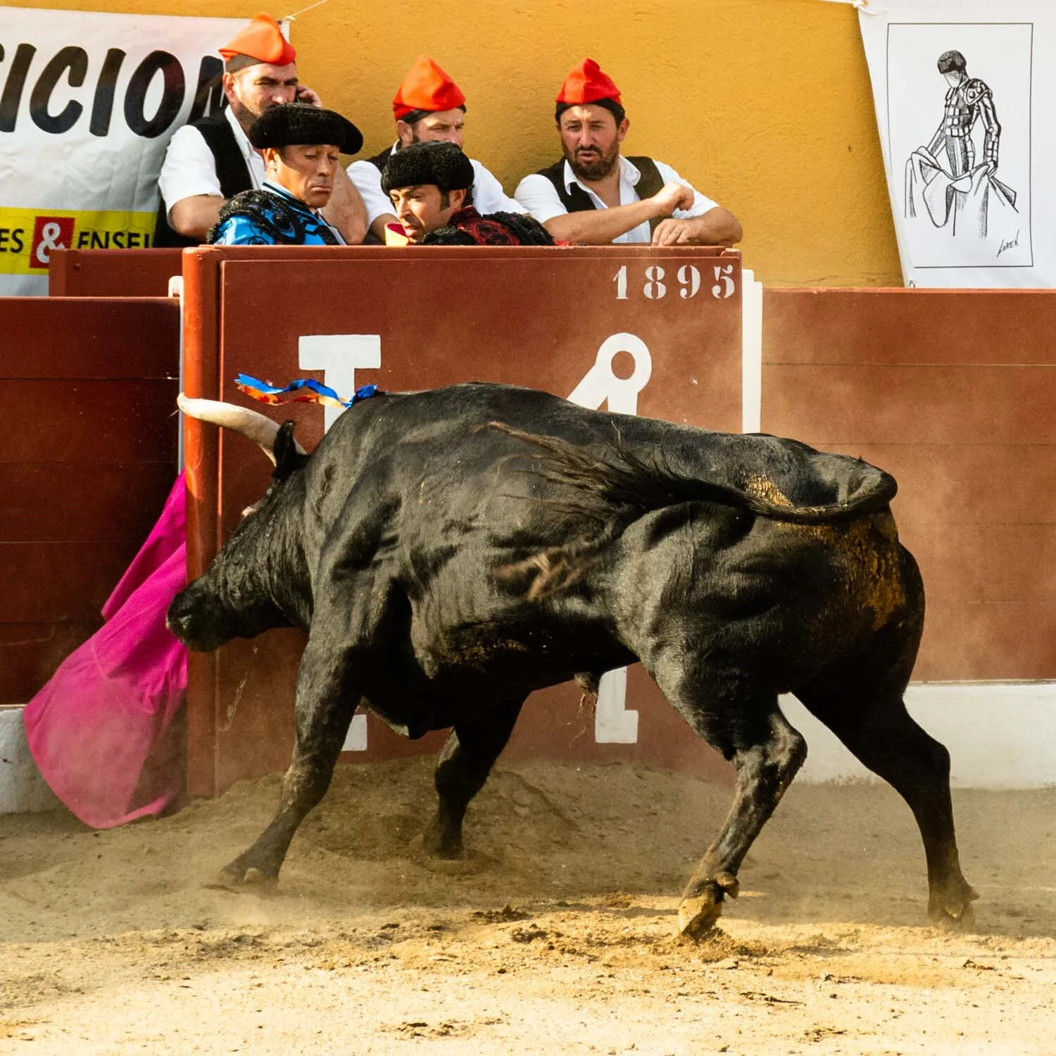 17 Corrida 2019.jpg