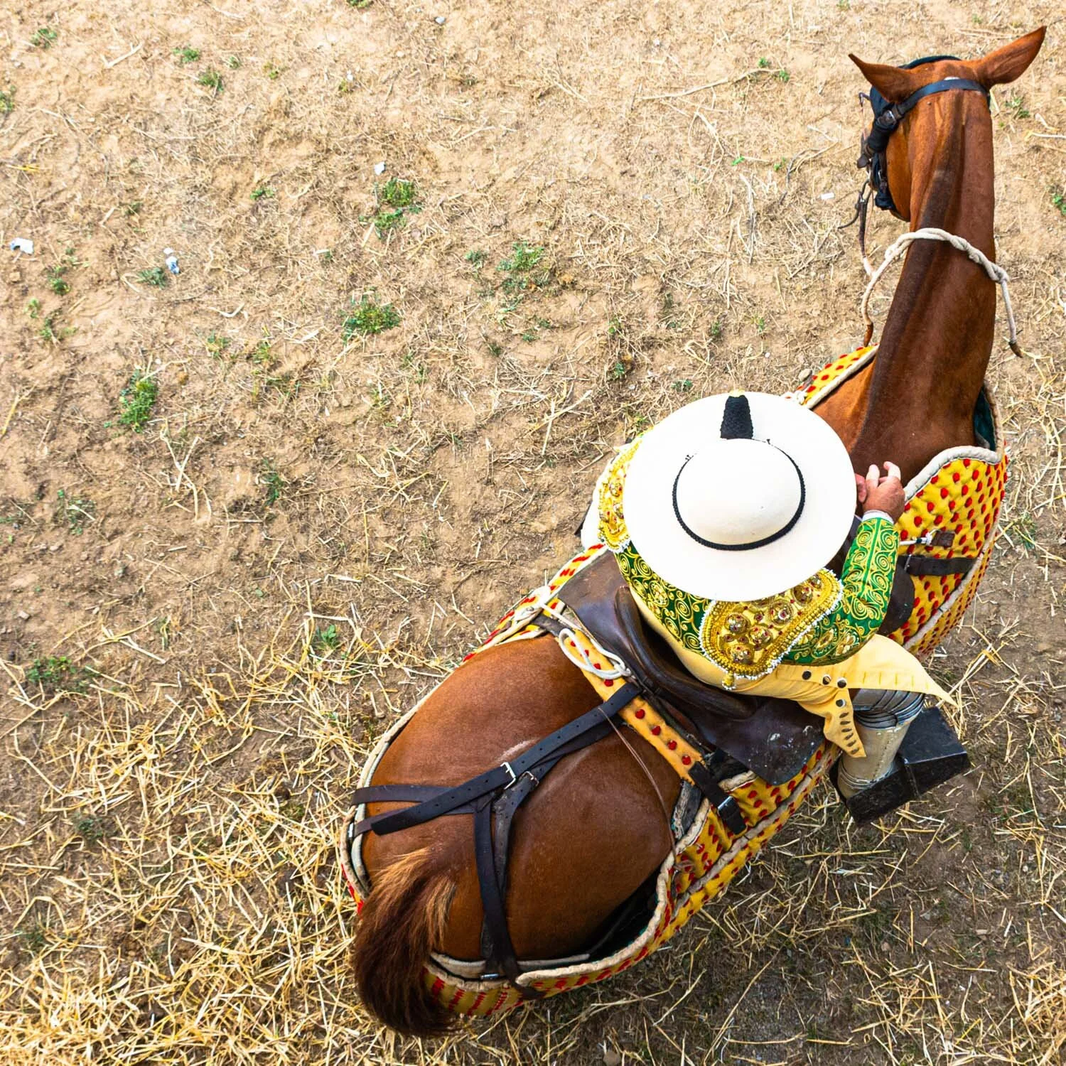 22 Corrida 2019.jpg
