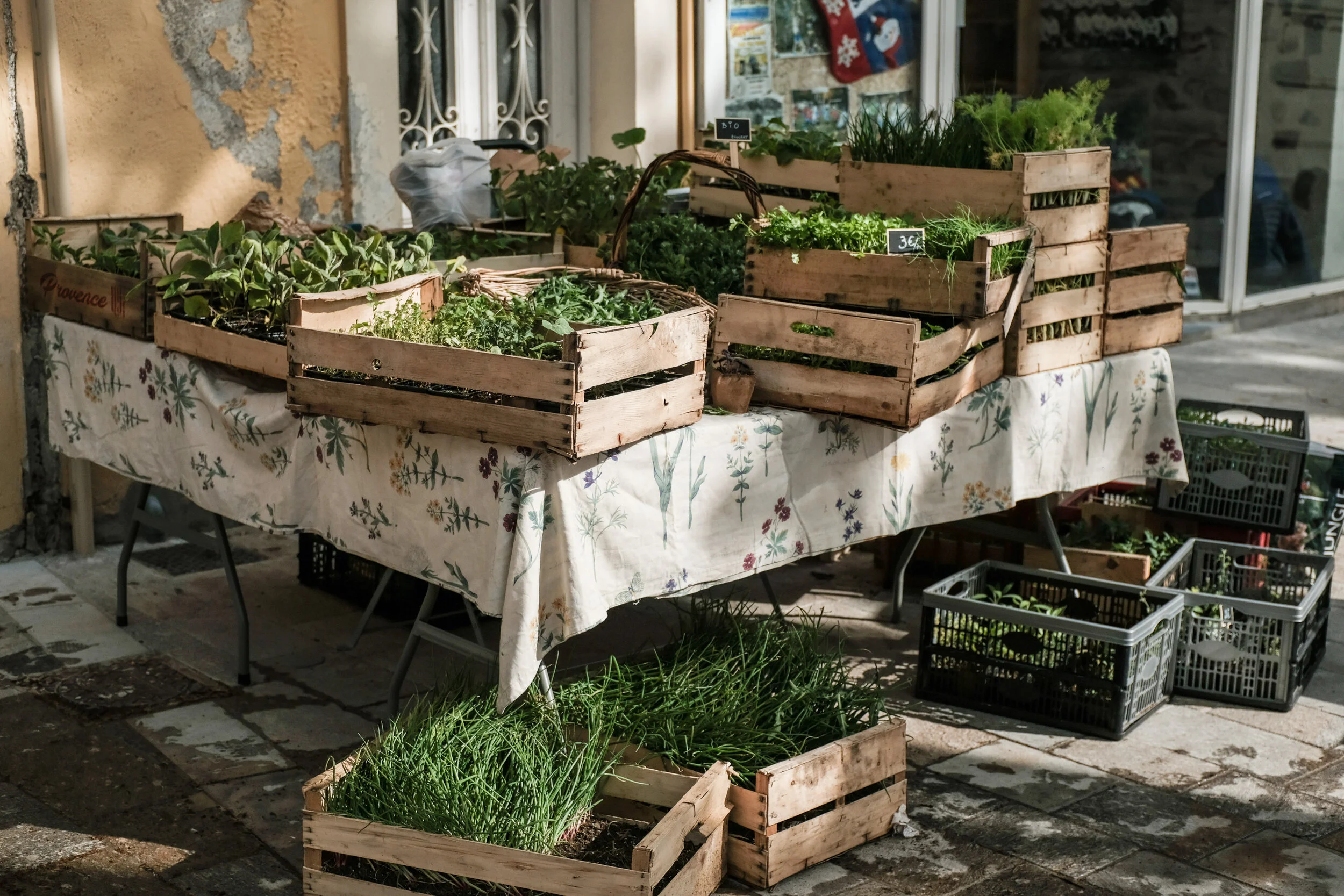 1 Market 16 may 2021-10.jpg
