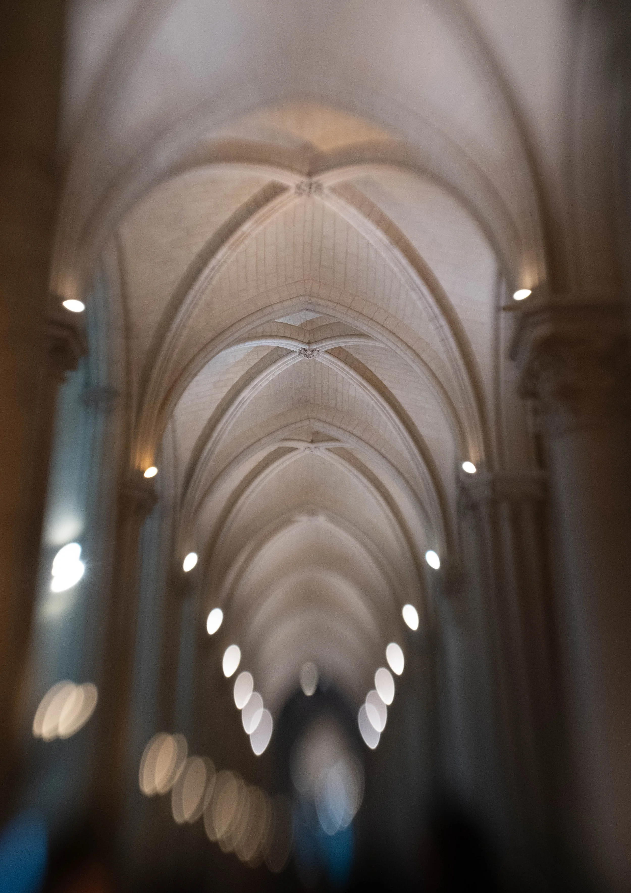Notre Dame 2933.jpg
