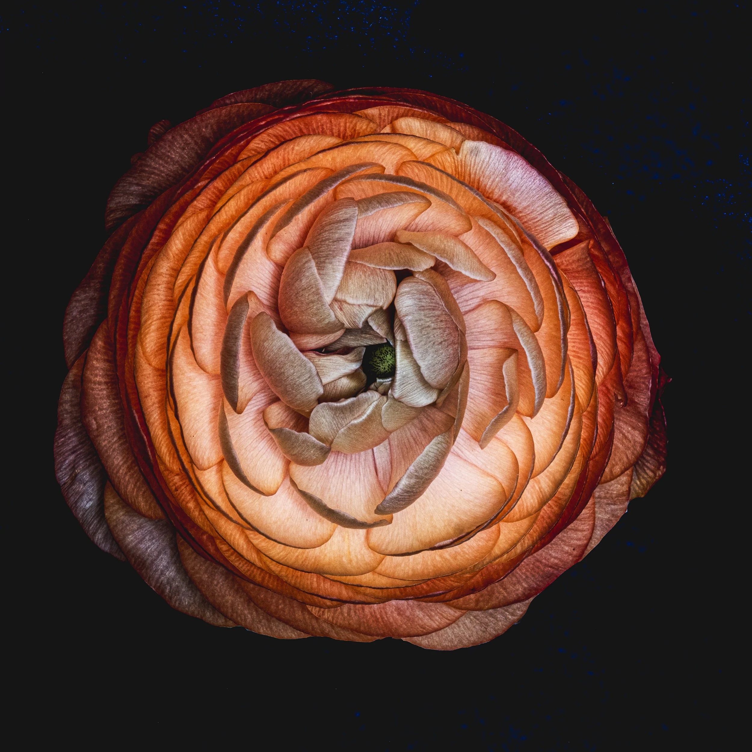 Behind the Scenes of a Photographer’s Life: When Admin Takes Over