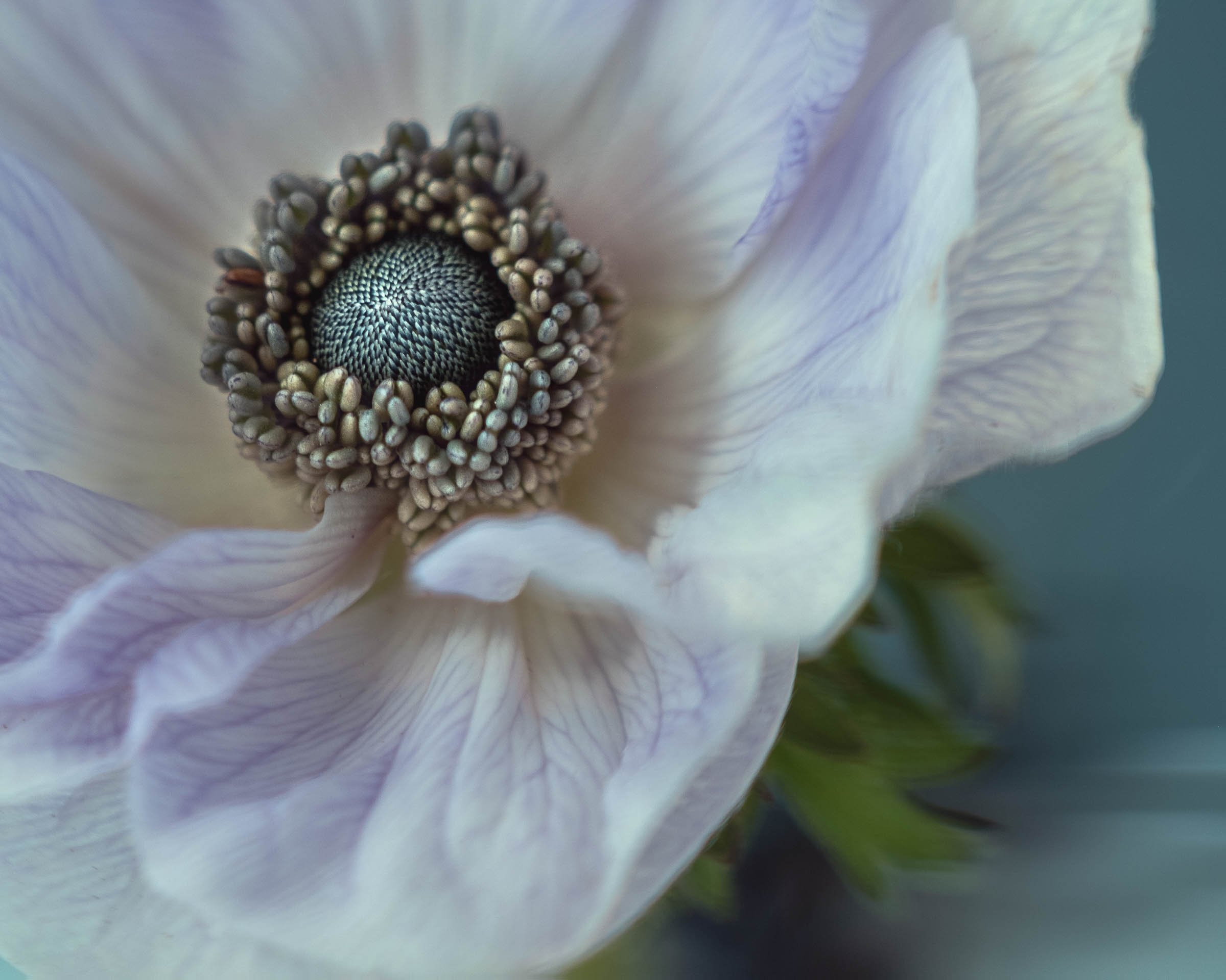 A great way to close a busy week!