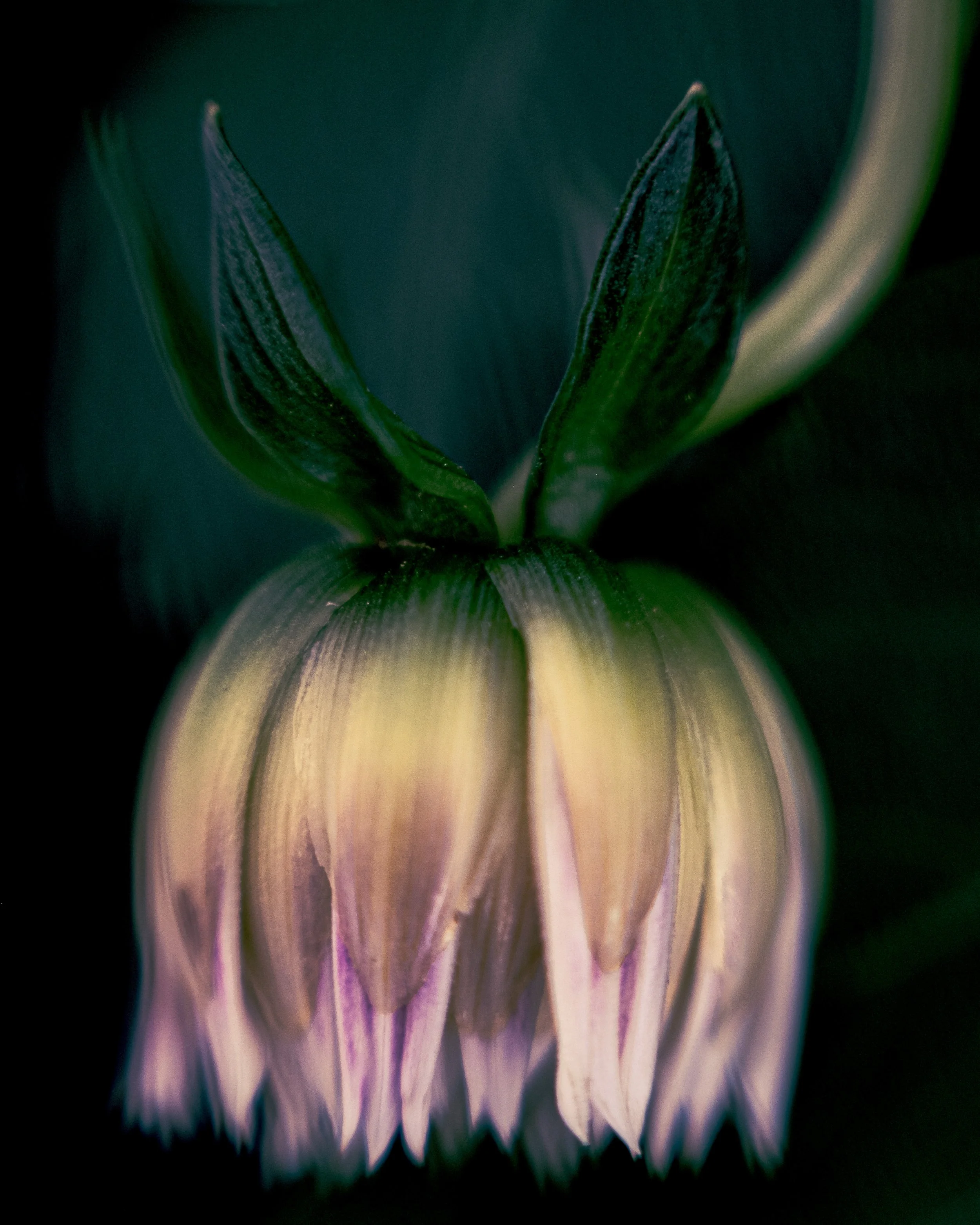 Be aware of your background when taking photos