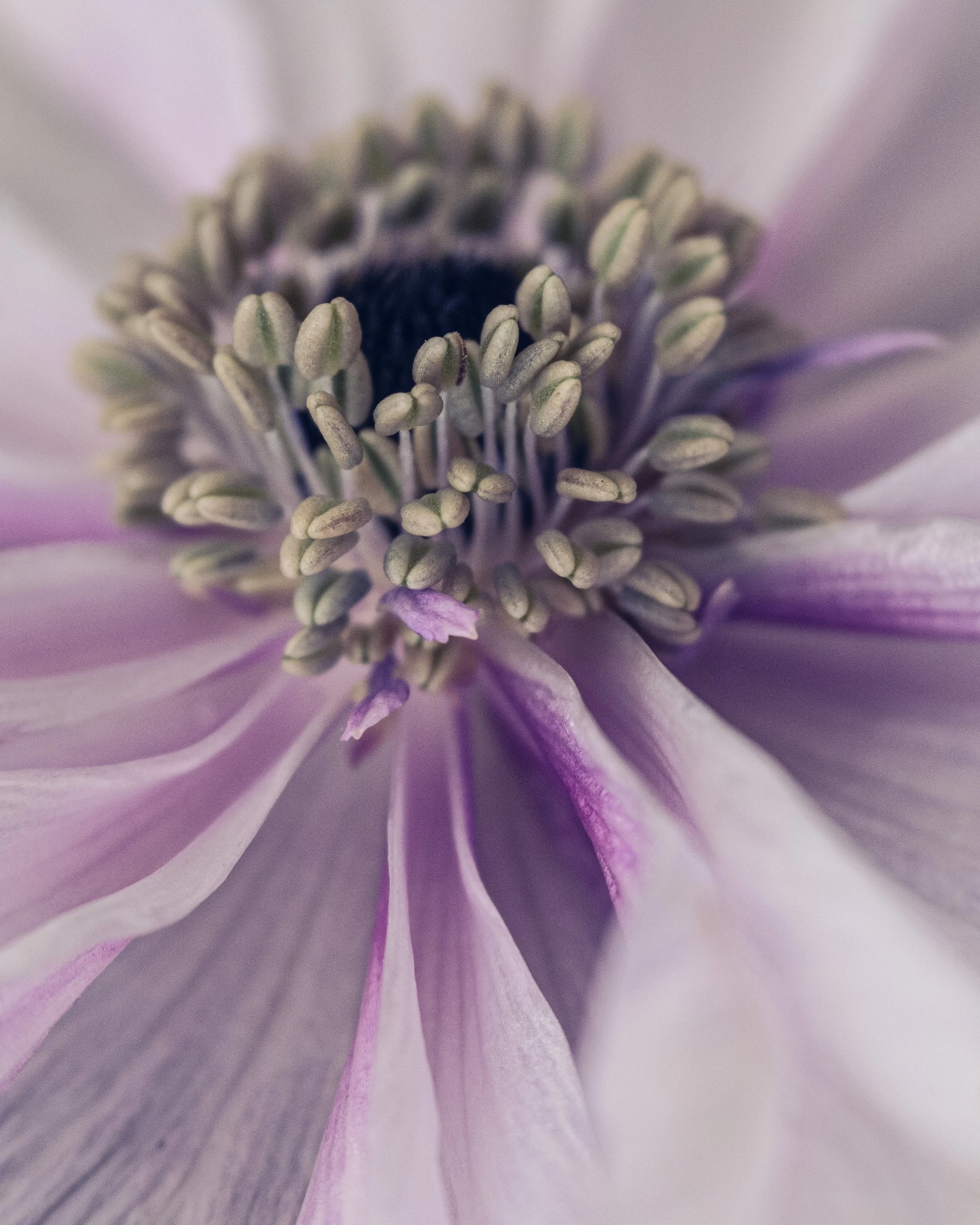 IT REALLY IRRITATES ME WHEN ......