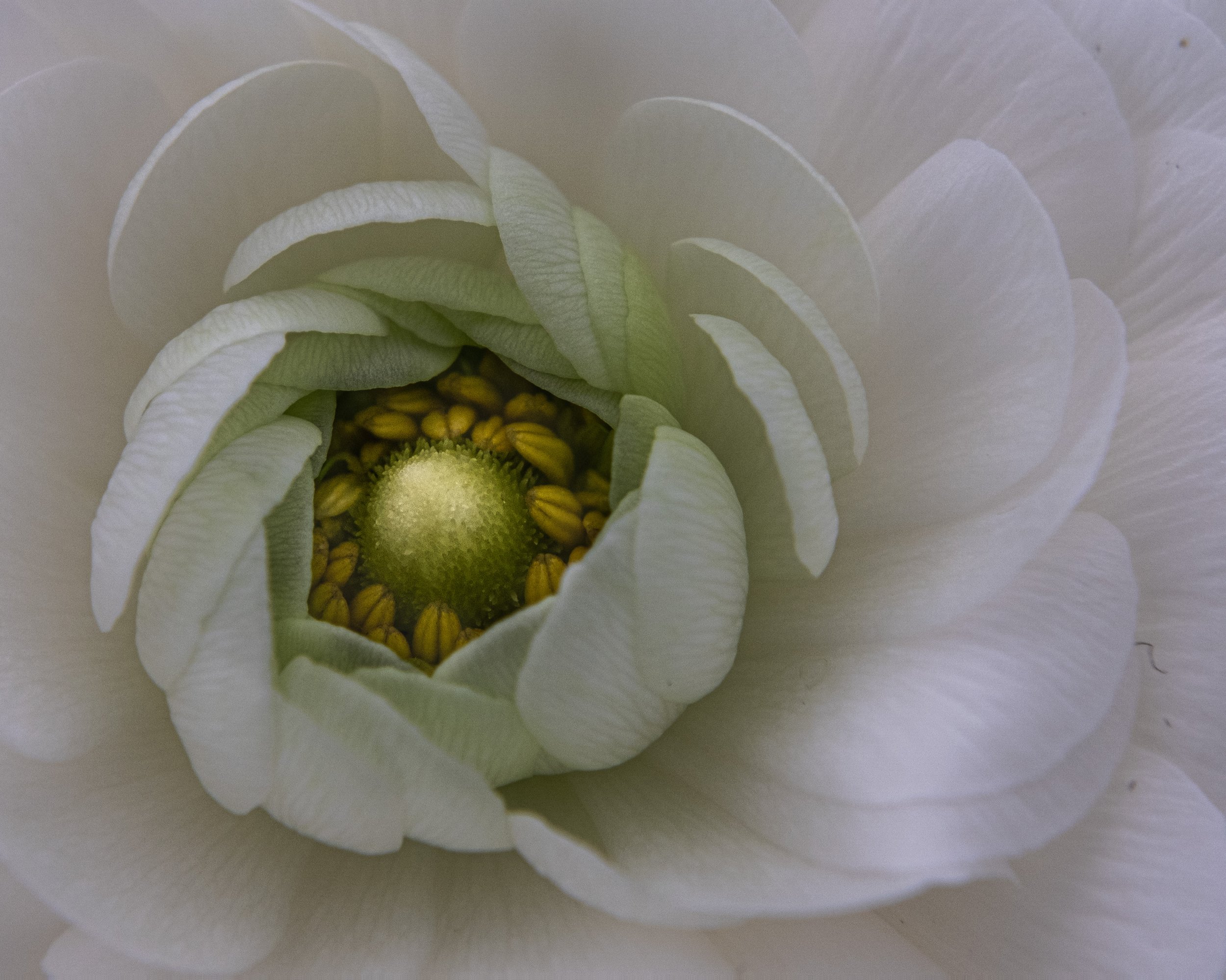 Finding the subject's soul in photography.