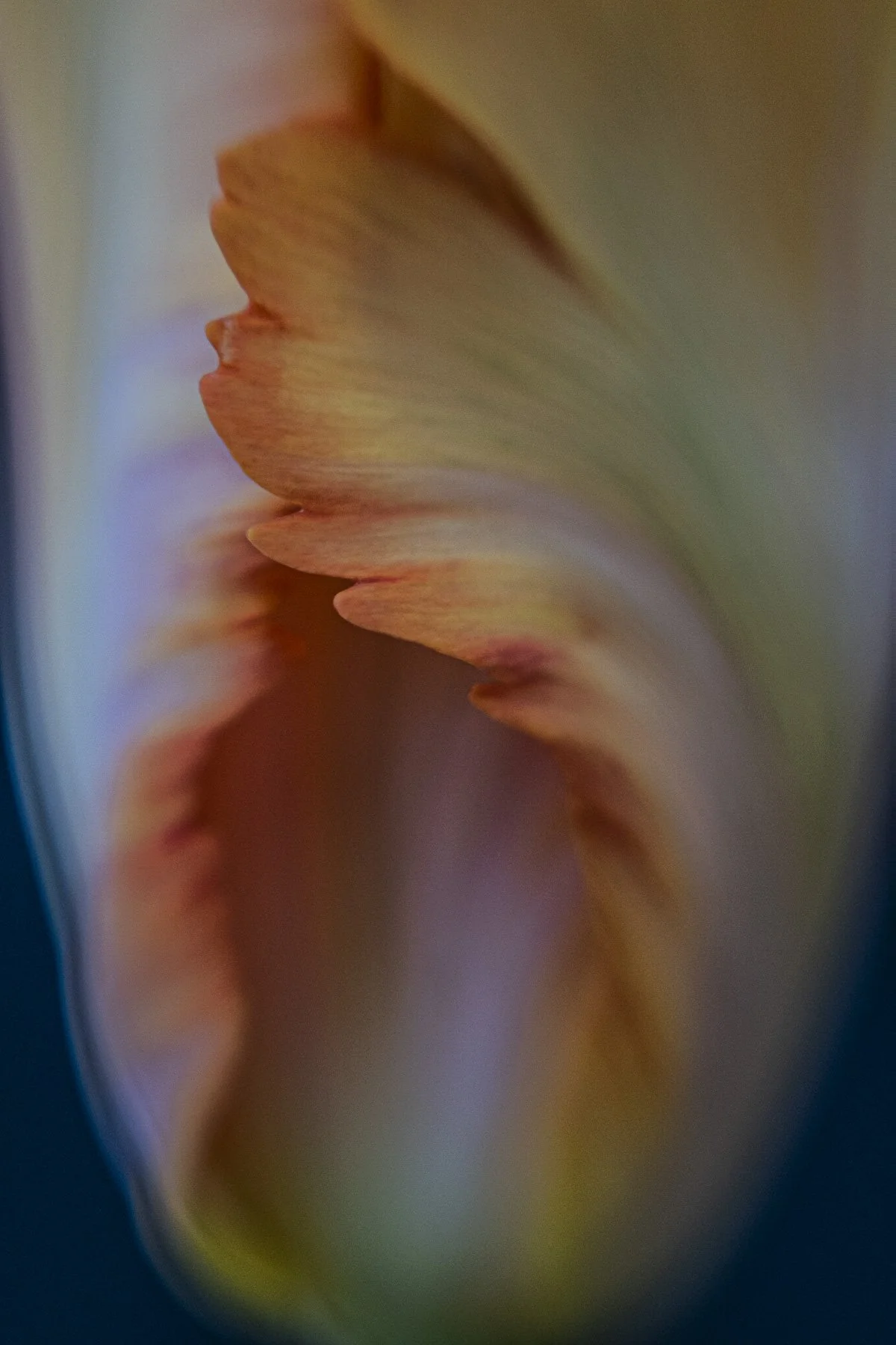 Bad photography days!