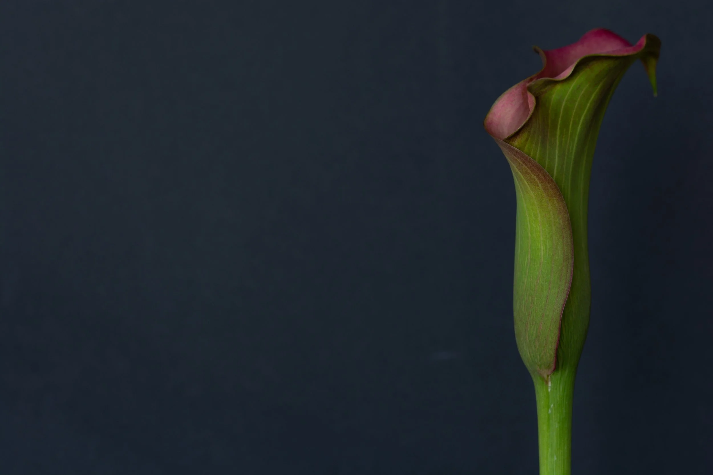 When is it OK to be negative in photography?!