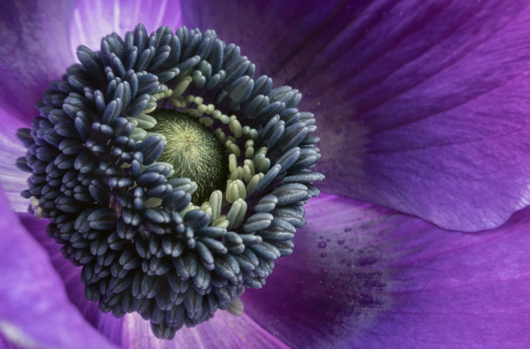 Get help achieving sharp focus in your photography.