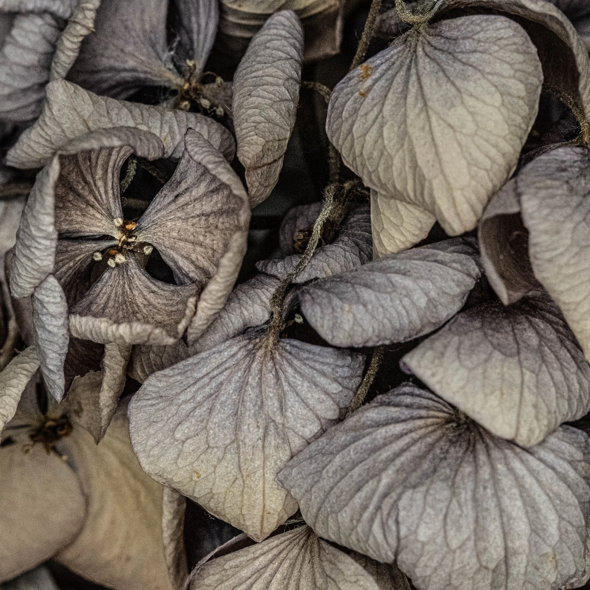 3697# Alys Walker-Tinson -po 19 -photo 4_.jpg