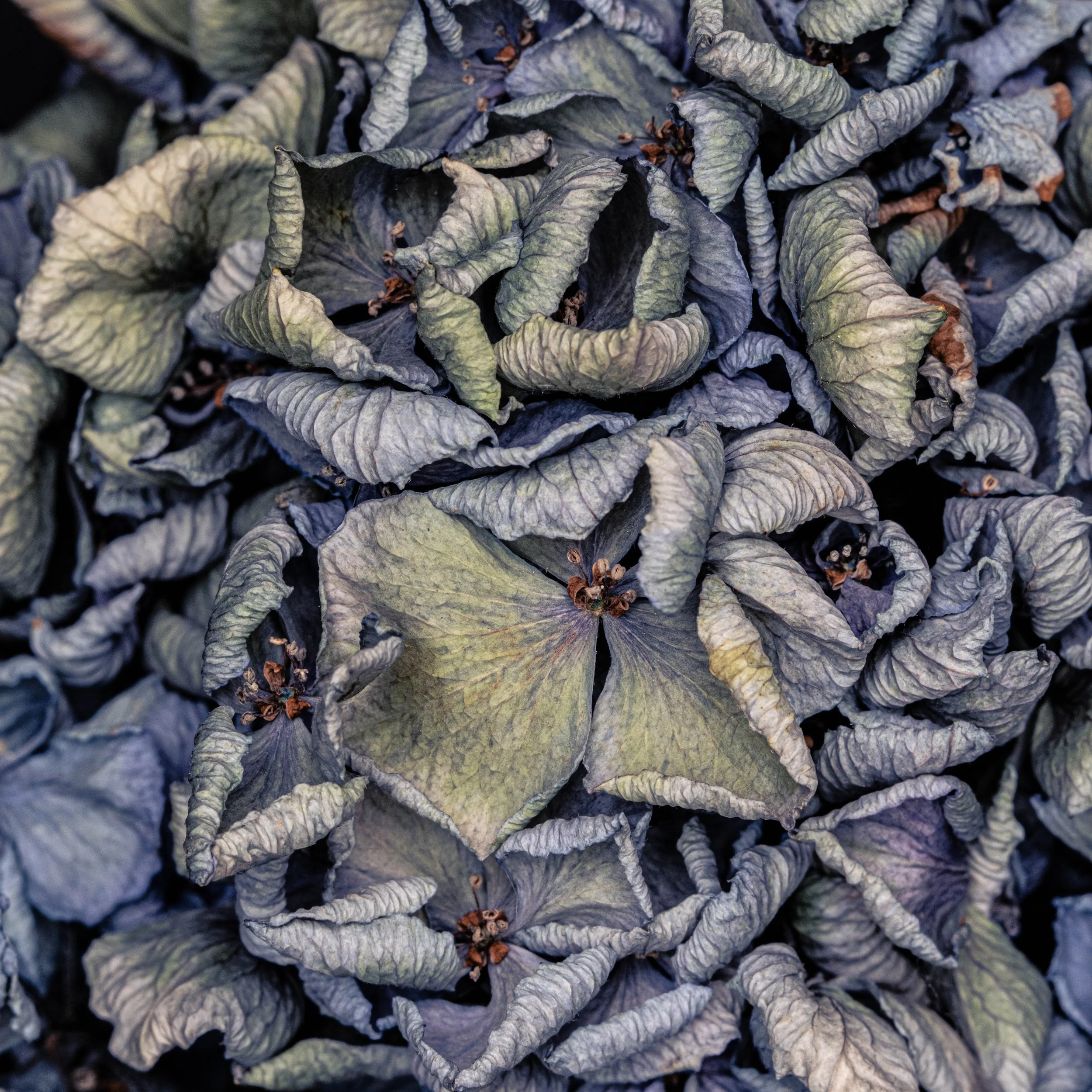 4252# Alys Walker-Tinson -po 19 -photo 6_.jpg