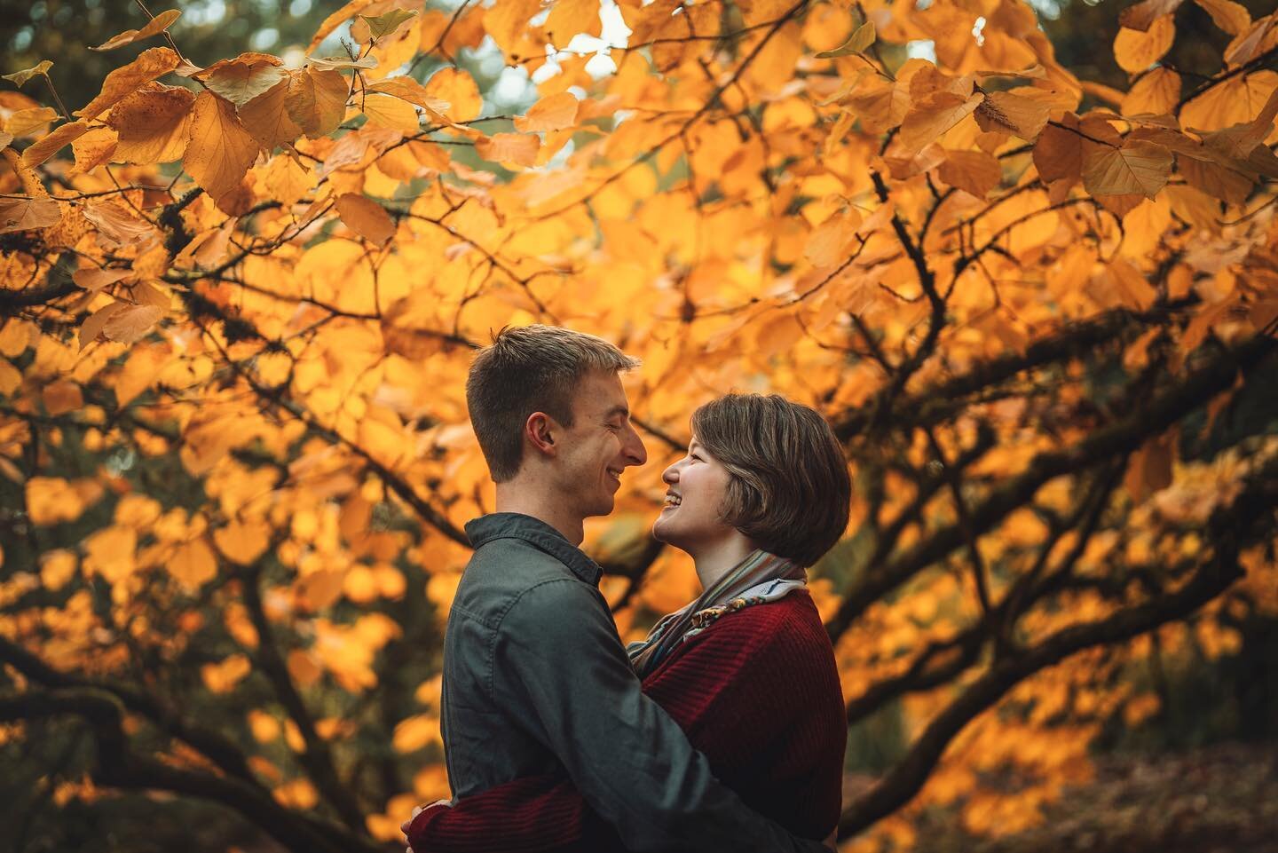 A fall wonderland session at the Seattle Arboretum.

#seattleportraitphotographer #seattlearboretum #seattlefall #pnwfall #seattlecouplesphotographer #seattleweddingphotographer #arboretum #fallcolors🍁🍂 #couplegoals #sony50mmf12gm #seattlenature #p