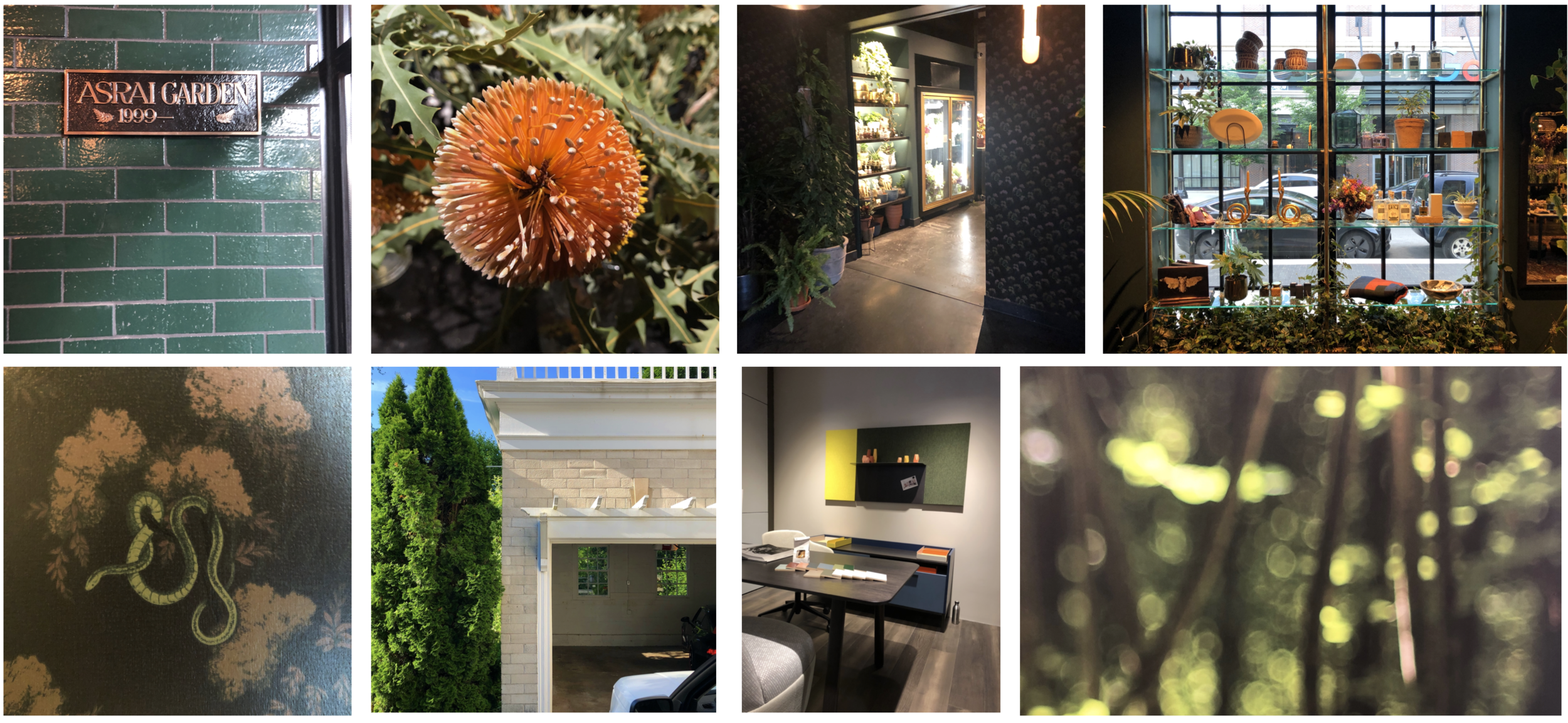 Screen Shot 2020-12-30 at 4.52.07 PM.png