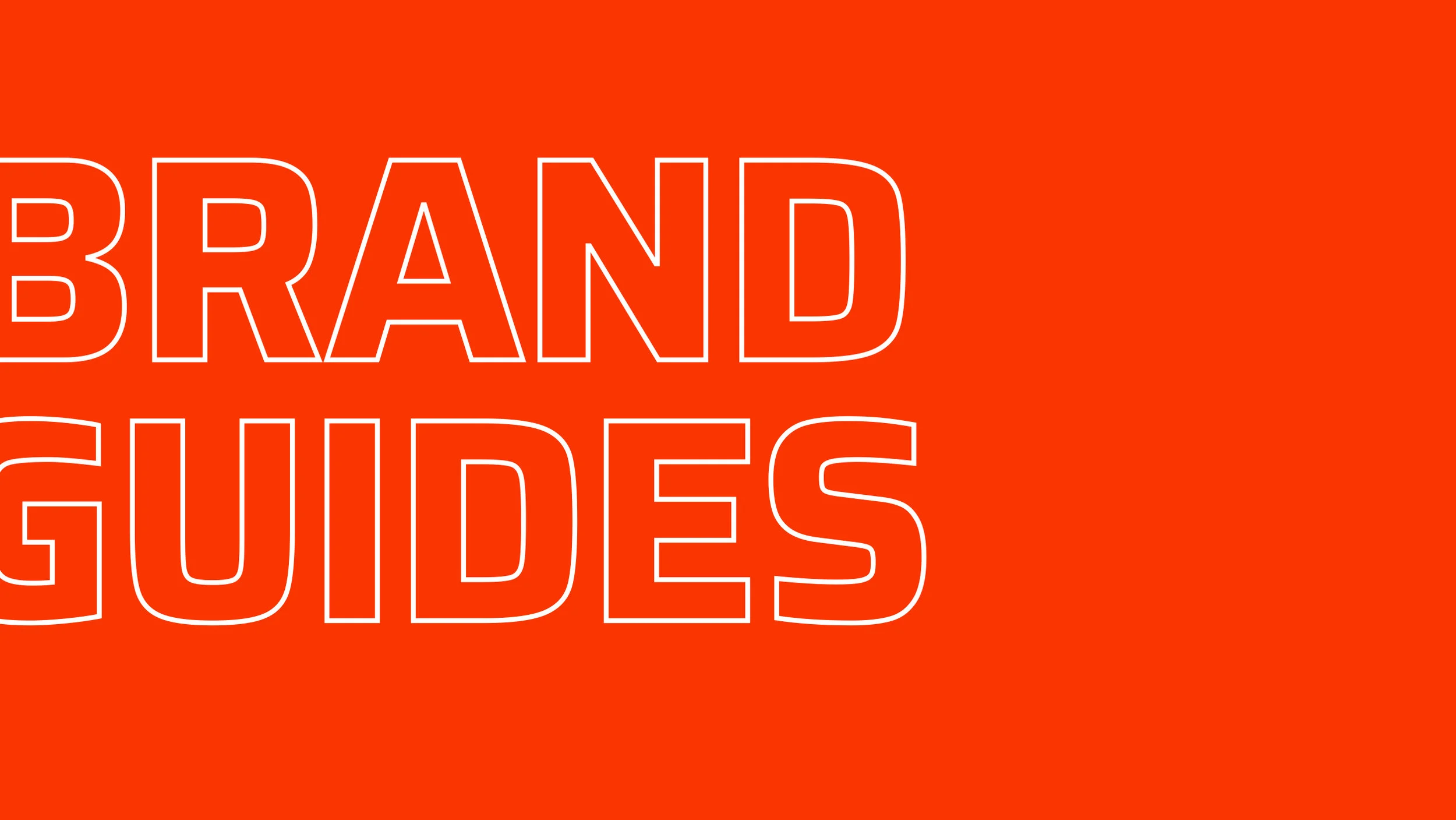 Preso-brandguidesSlide.jpg