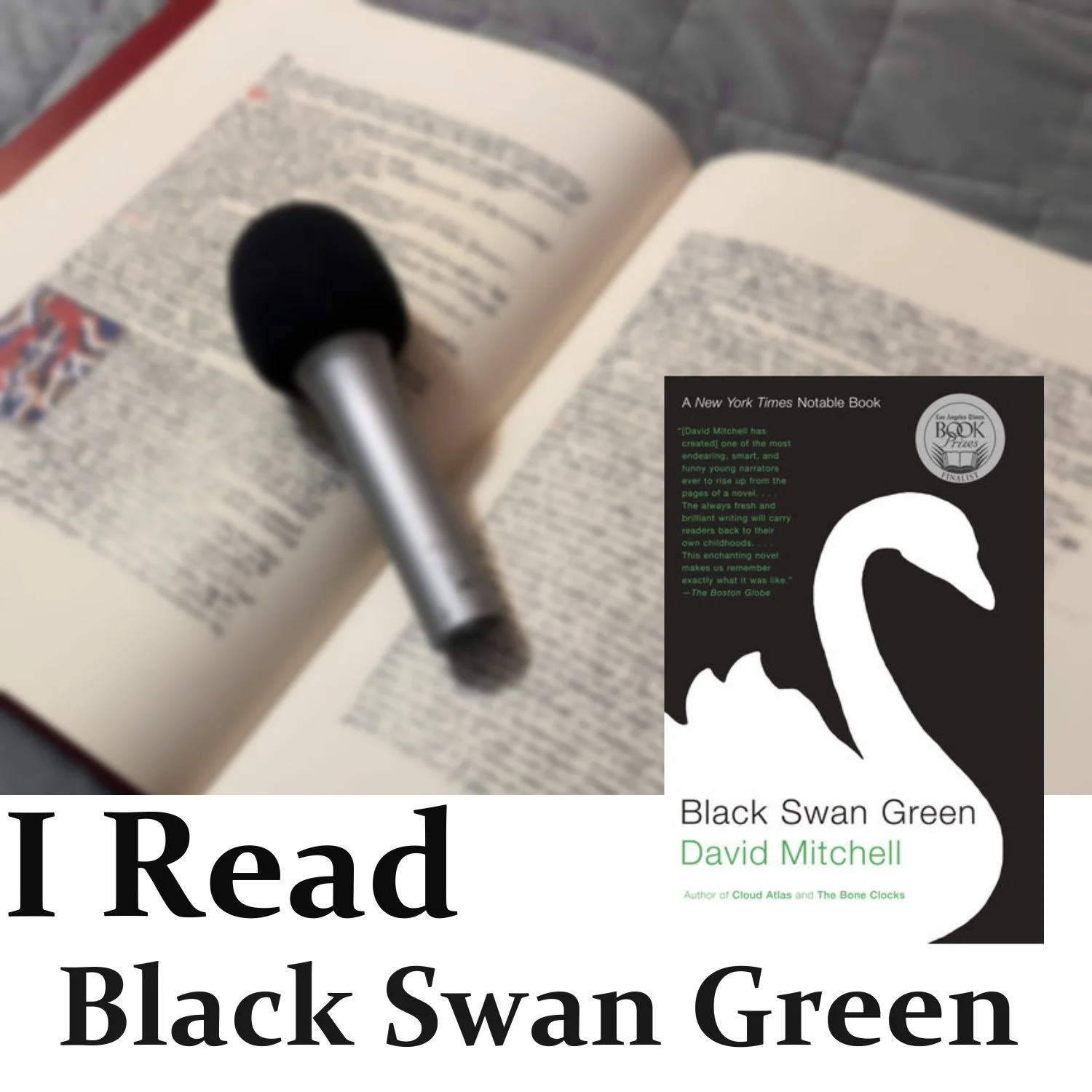 Black Swan Green 
