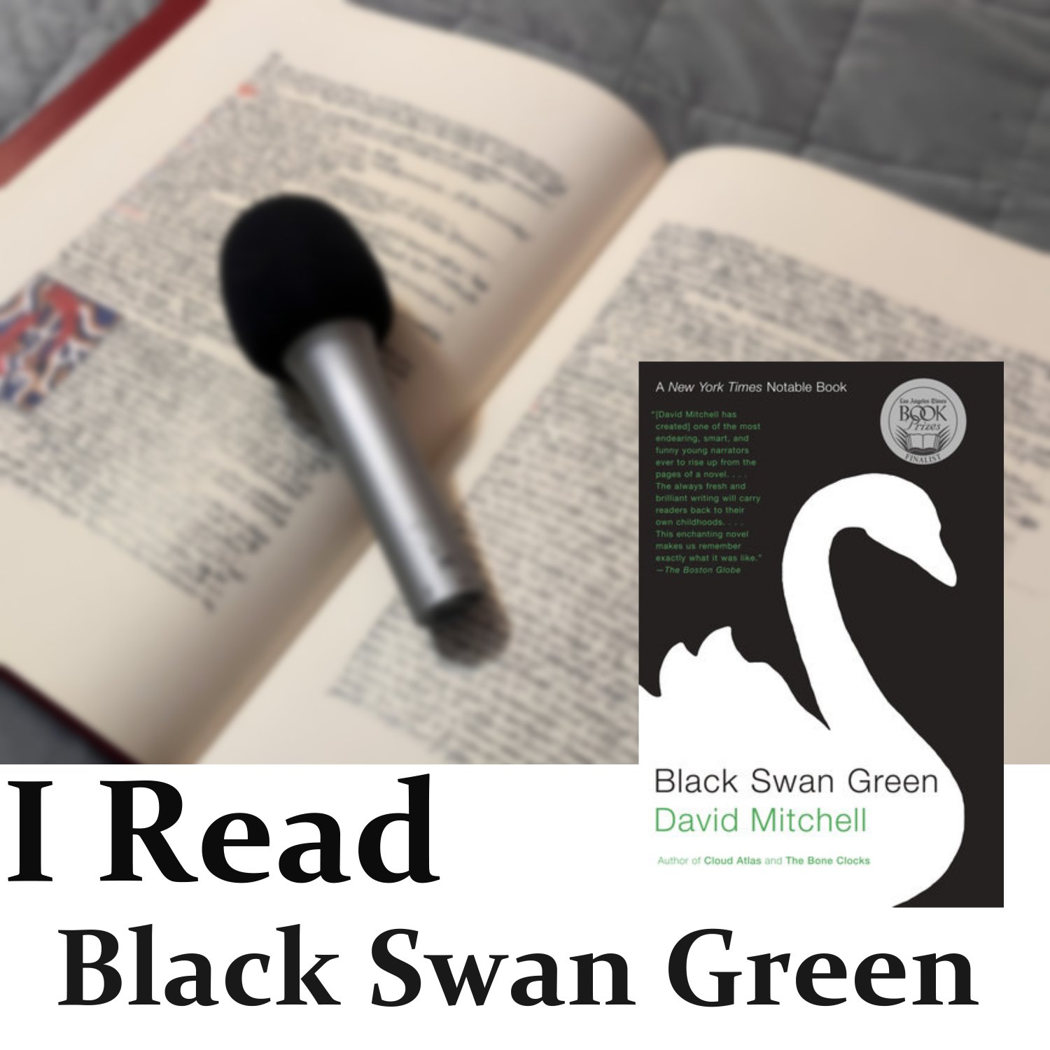 Black Swan Green episode artwork