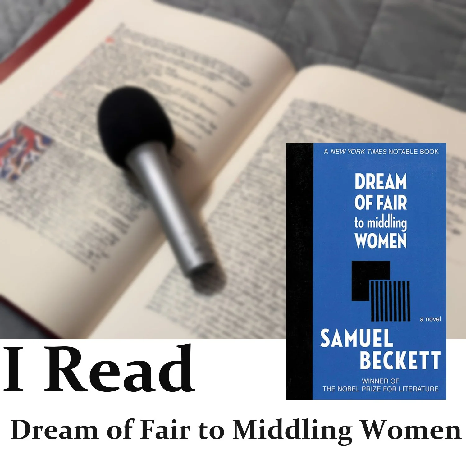 Dream of Fair to Middling Women episode artwork