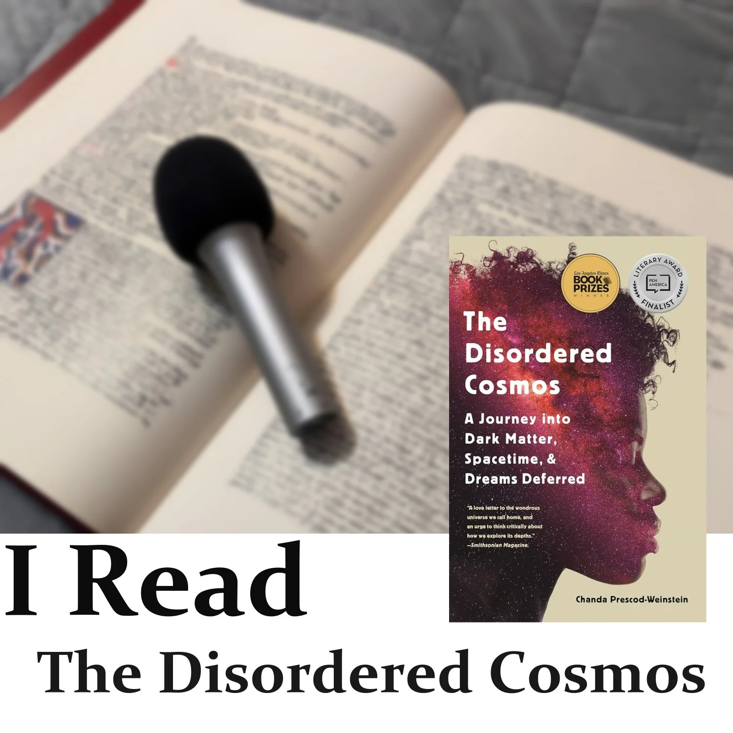The Disordered Cosmos episode artwork
