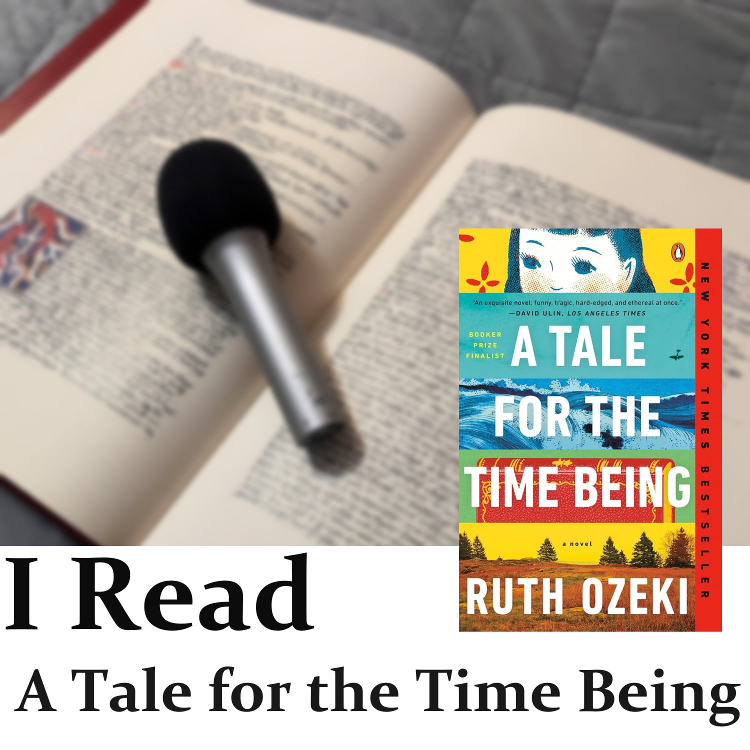 A Tale for the Time Being episode artwork