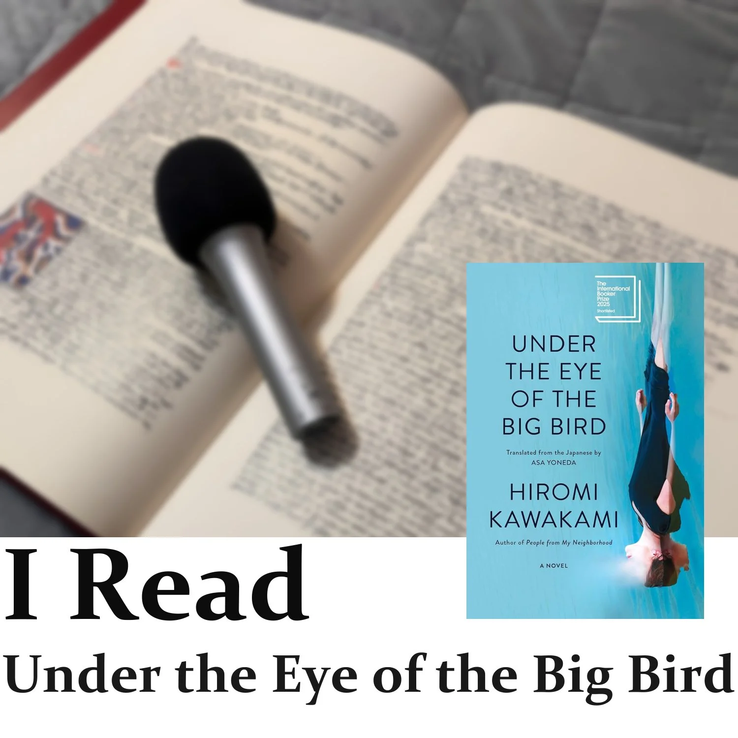 Under the Eye of the Big Bird 