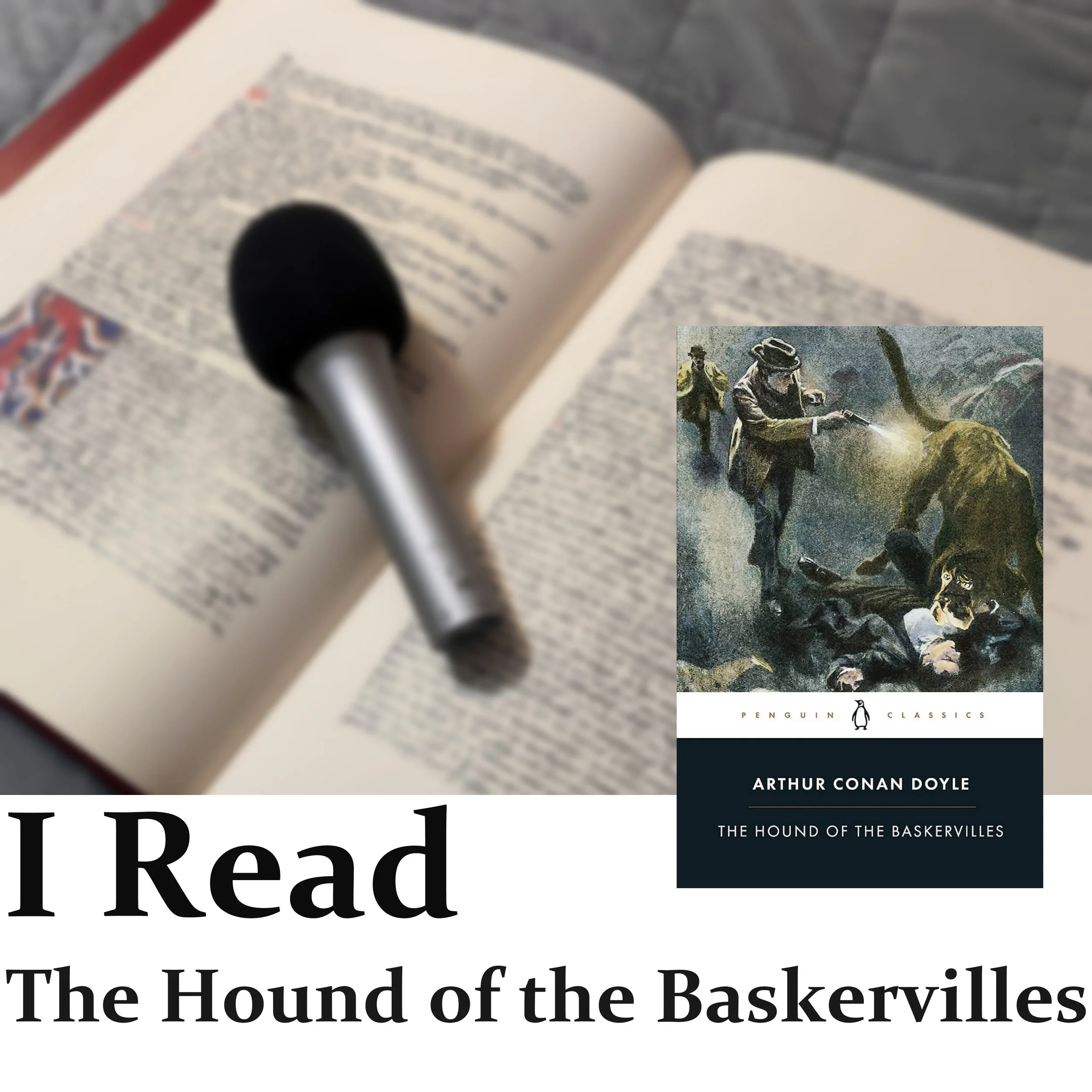 The Hound of the Baskervilles 