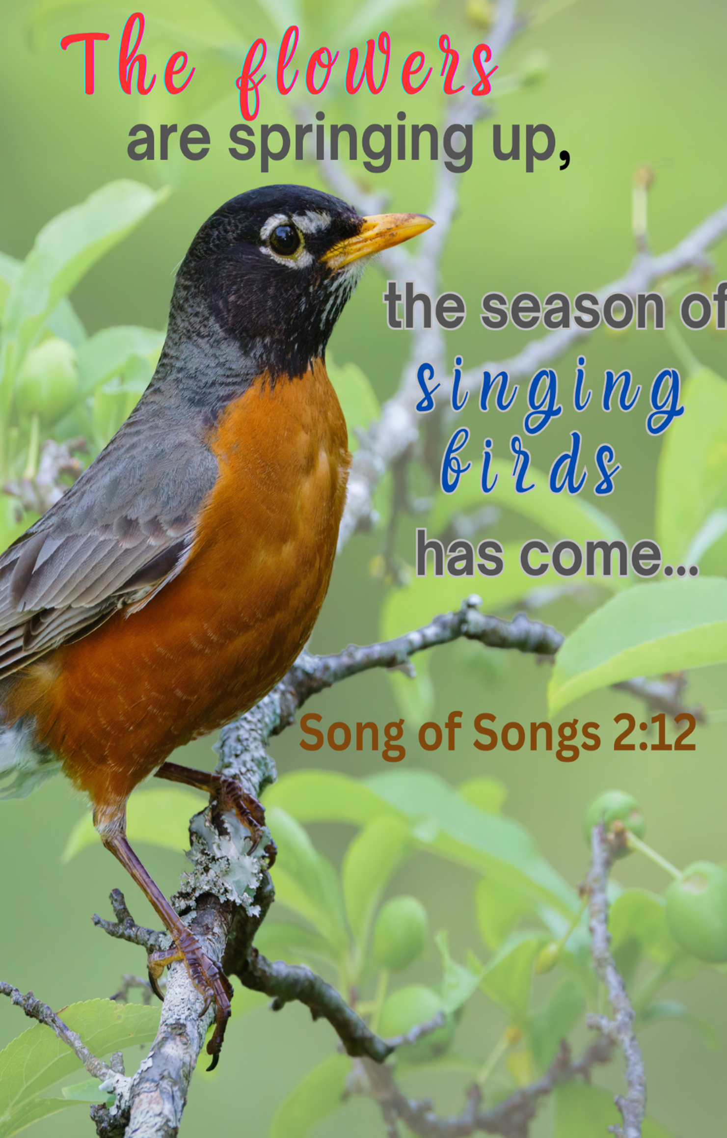 June Newsletter: The Flowers are Springing Up...