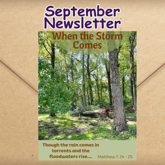 Newsletter Sq (3).png