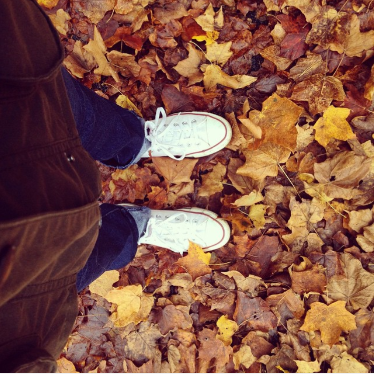 sneakers and leaves.PNG