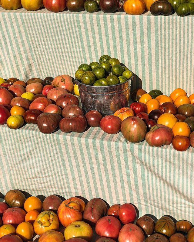 Fall Rainbows #madeinhygge #fall #allthecolors #tomatoes #farmfresh