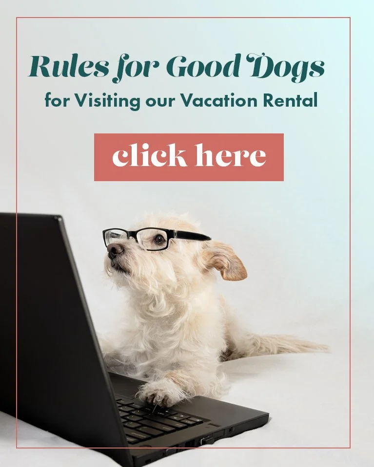 How to Make a PetFriendly Airbnb What You Need to Know — Wildheart Design