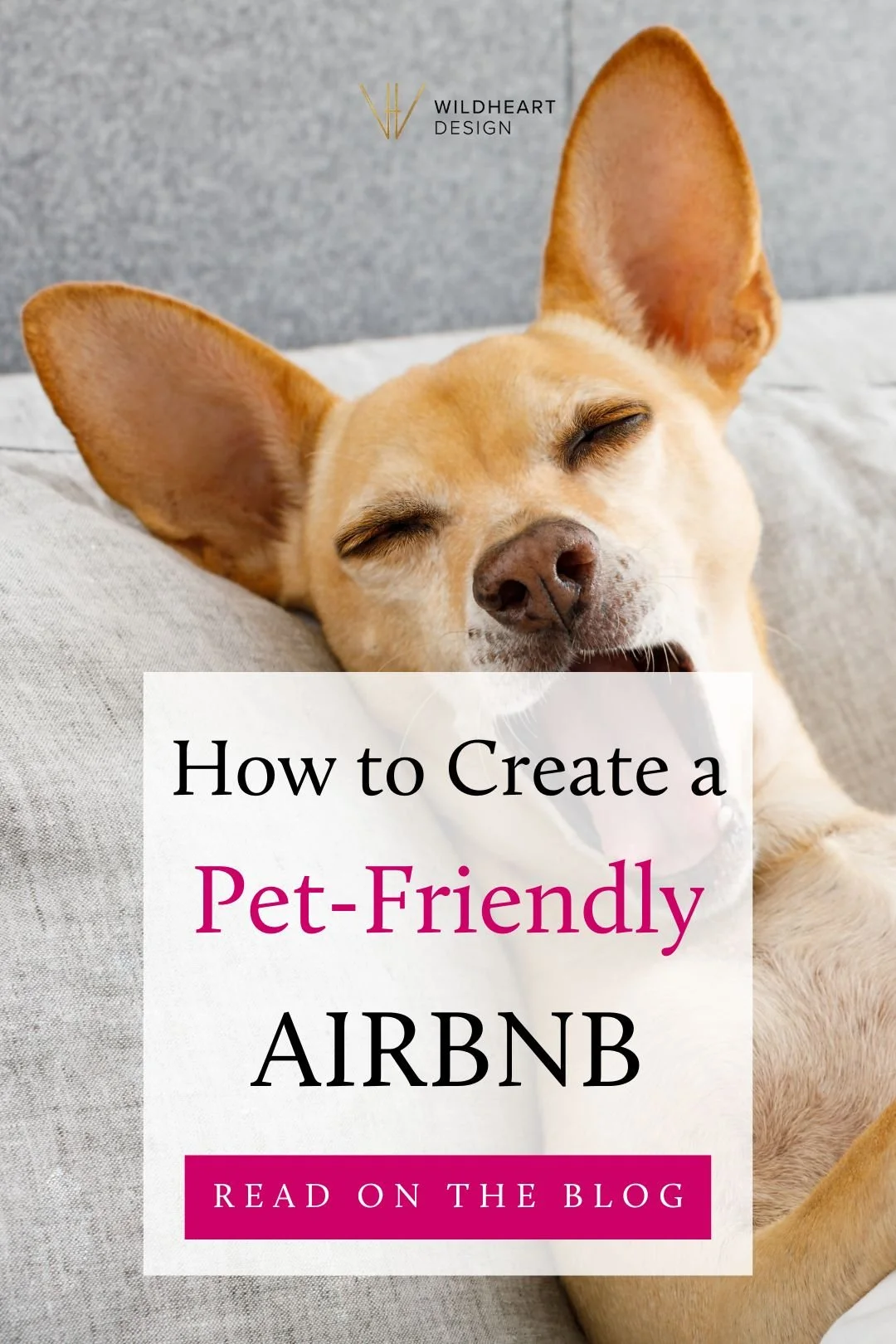 How to Make a PetFriendly Airbnb What You Need to Know — Wildheart Design