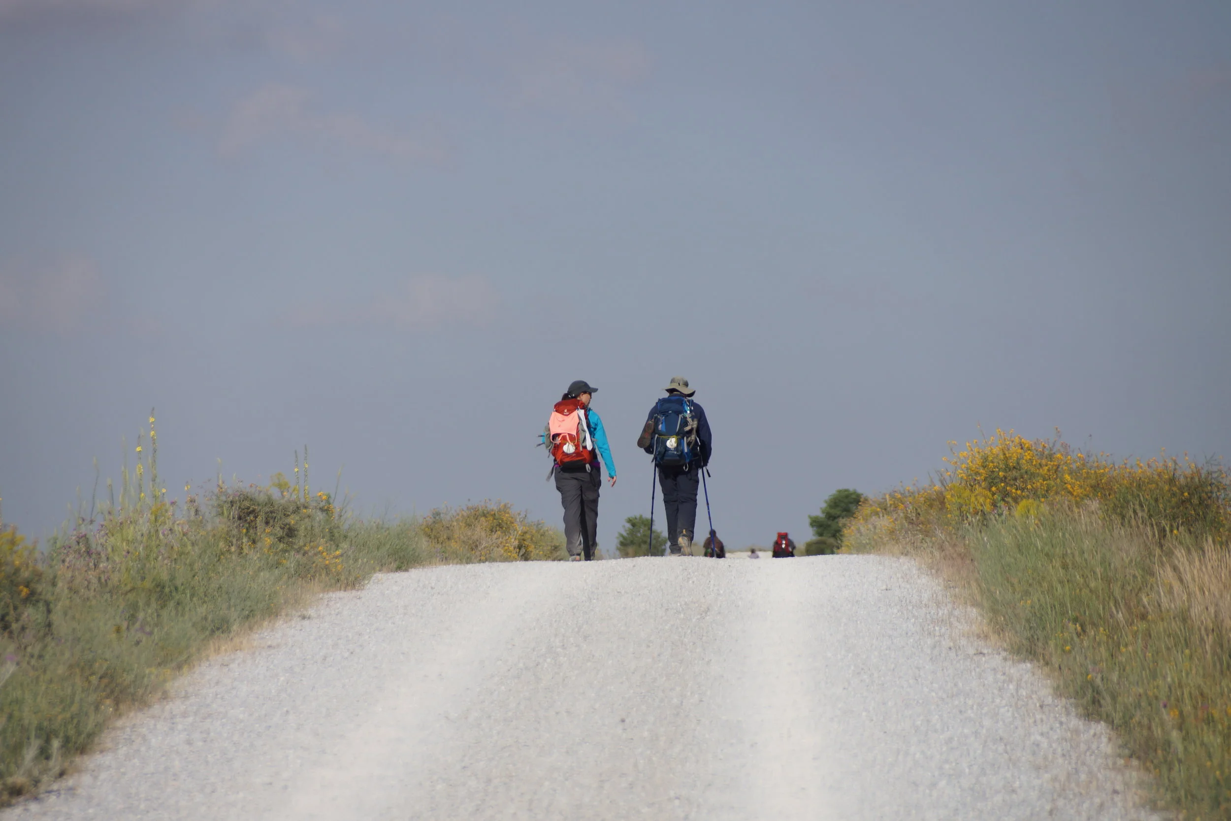 Two hikers walking on a gravel trail with backpacks, hiking poles, and hats, surrounded by wildflowers and bushes, under a blue sky with some clouds.