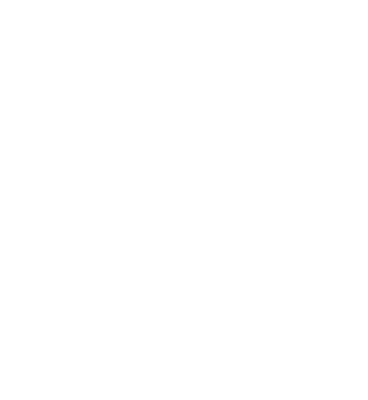 Artboard 1 copy 10.png